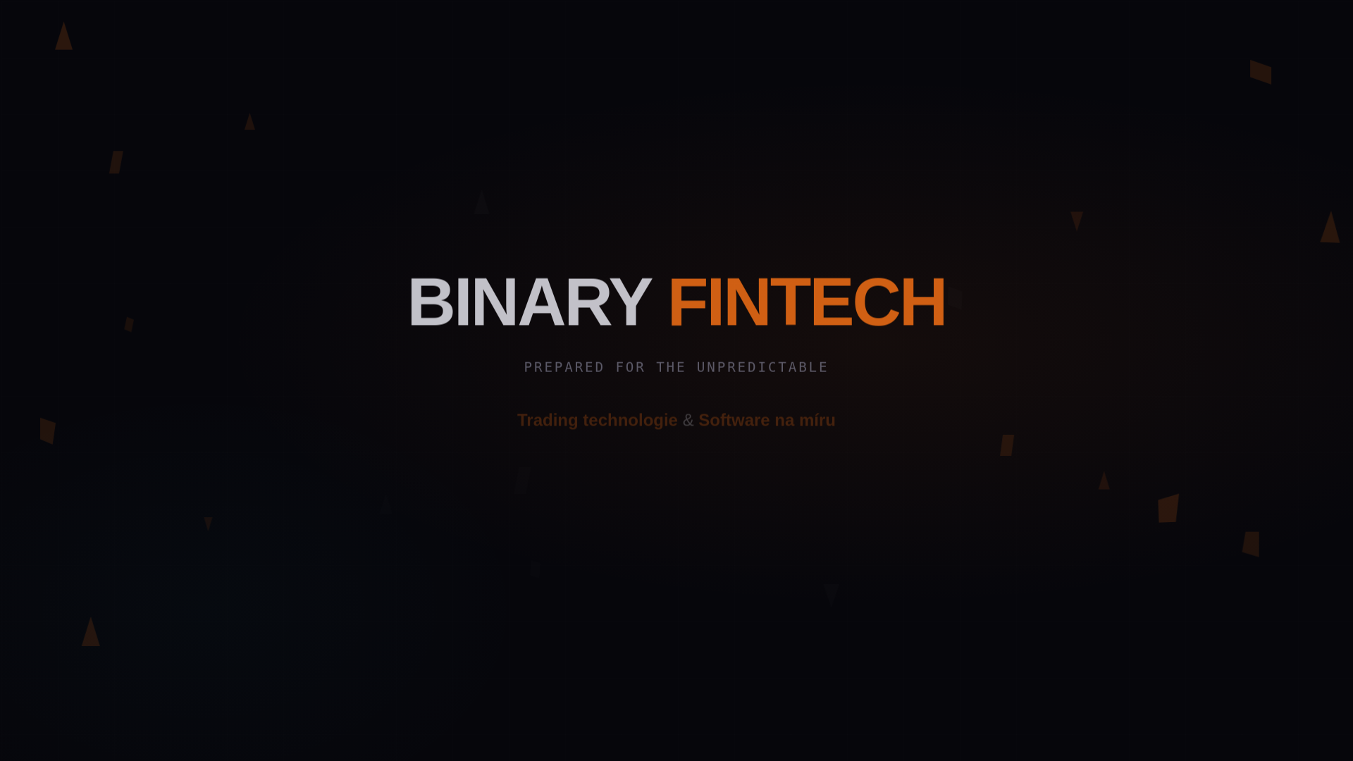 website screenshot of https://binaryfintech-landing.pages.dev/