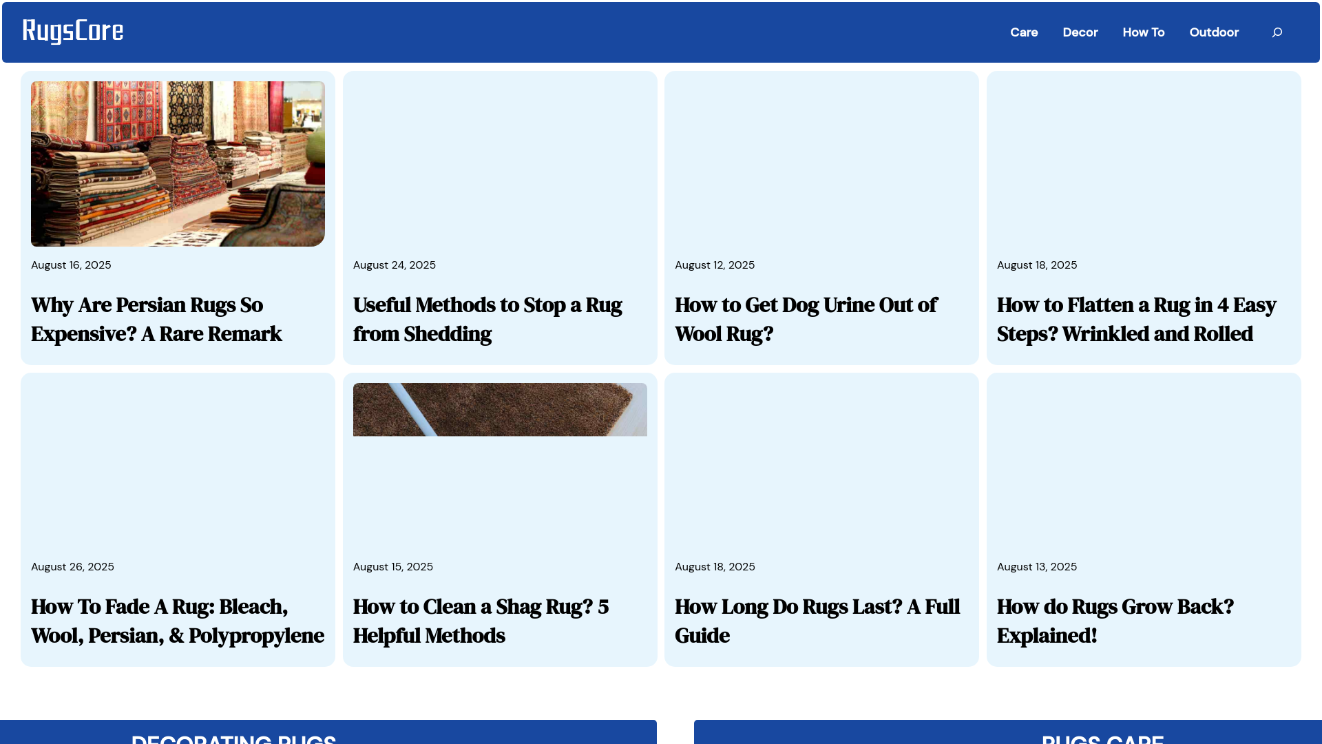 website screenshot of https://rugscore.store/