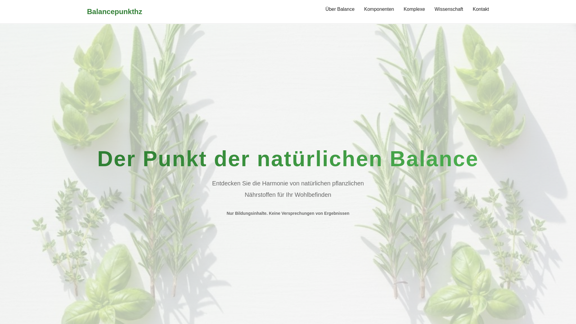 website screenshot of https://balancepunkthz.info/