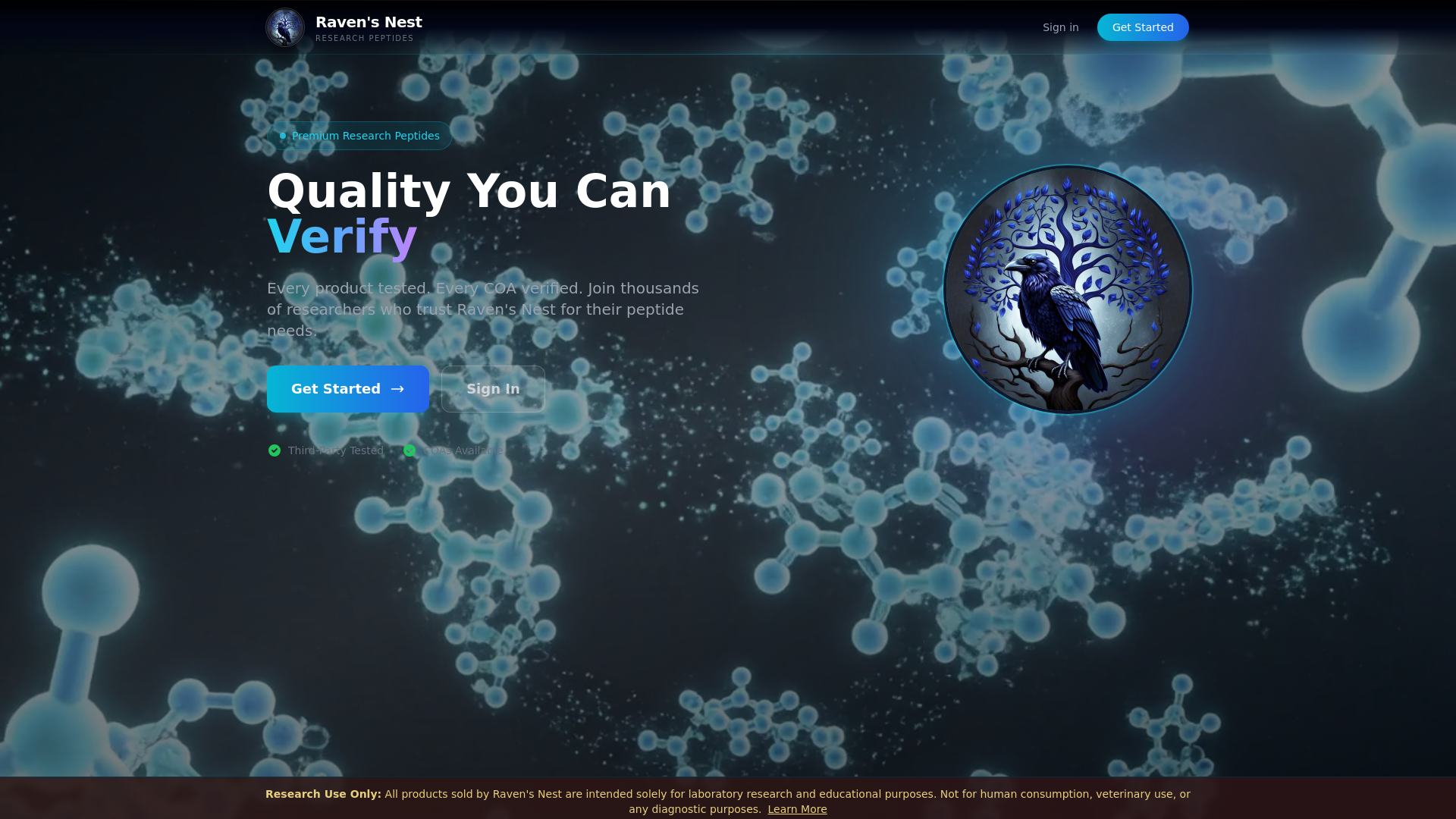 website screenshot of https://ravensclass.is/