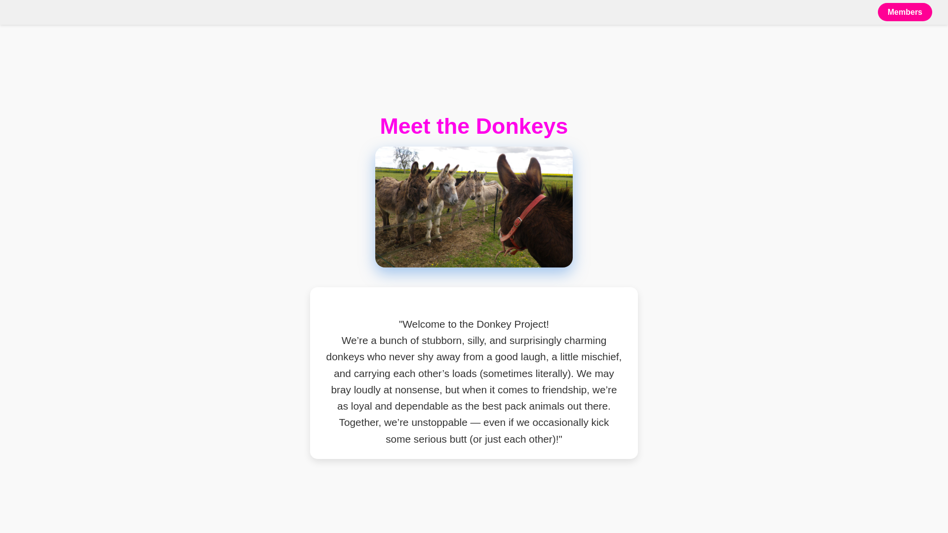website screenshot of https://test-4i8.pages.dev/