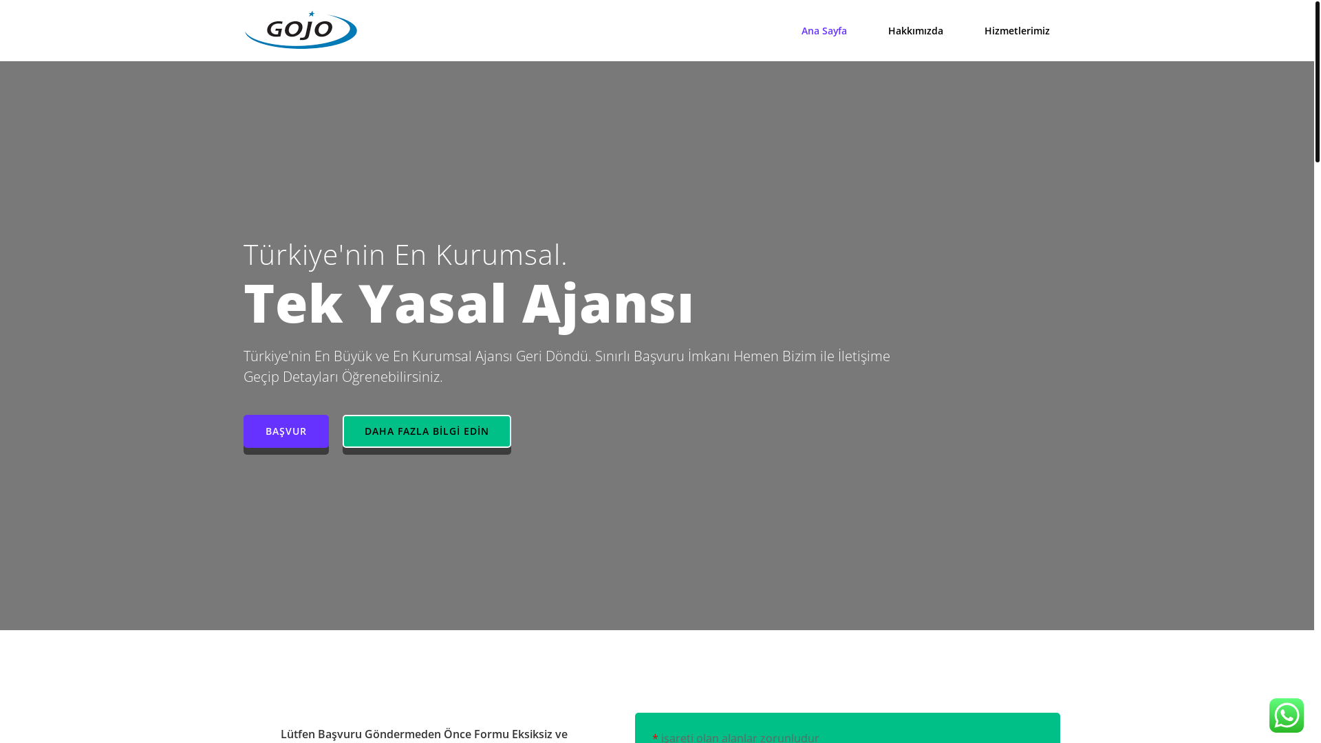 website screenshot of https://zoipajans.com/