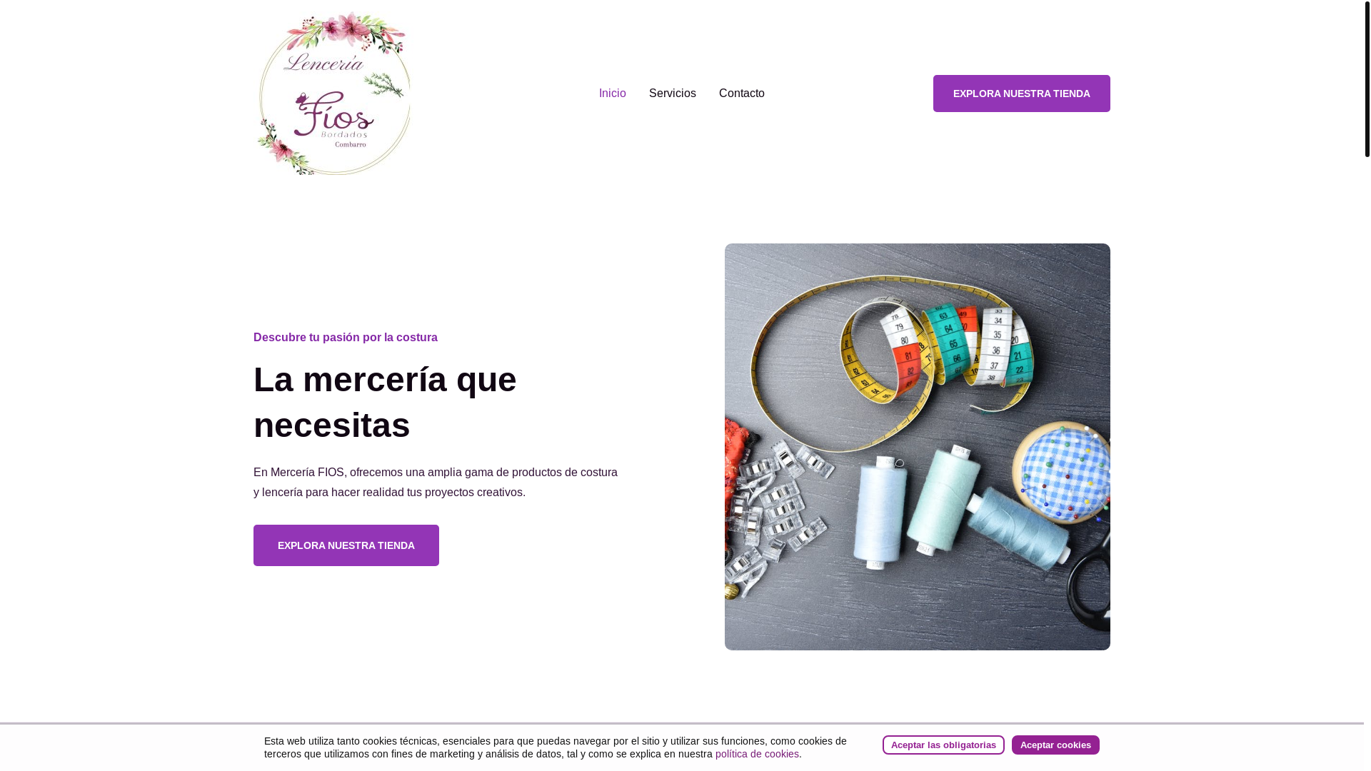 website screenshot of https://tacone.es/