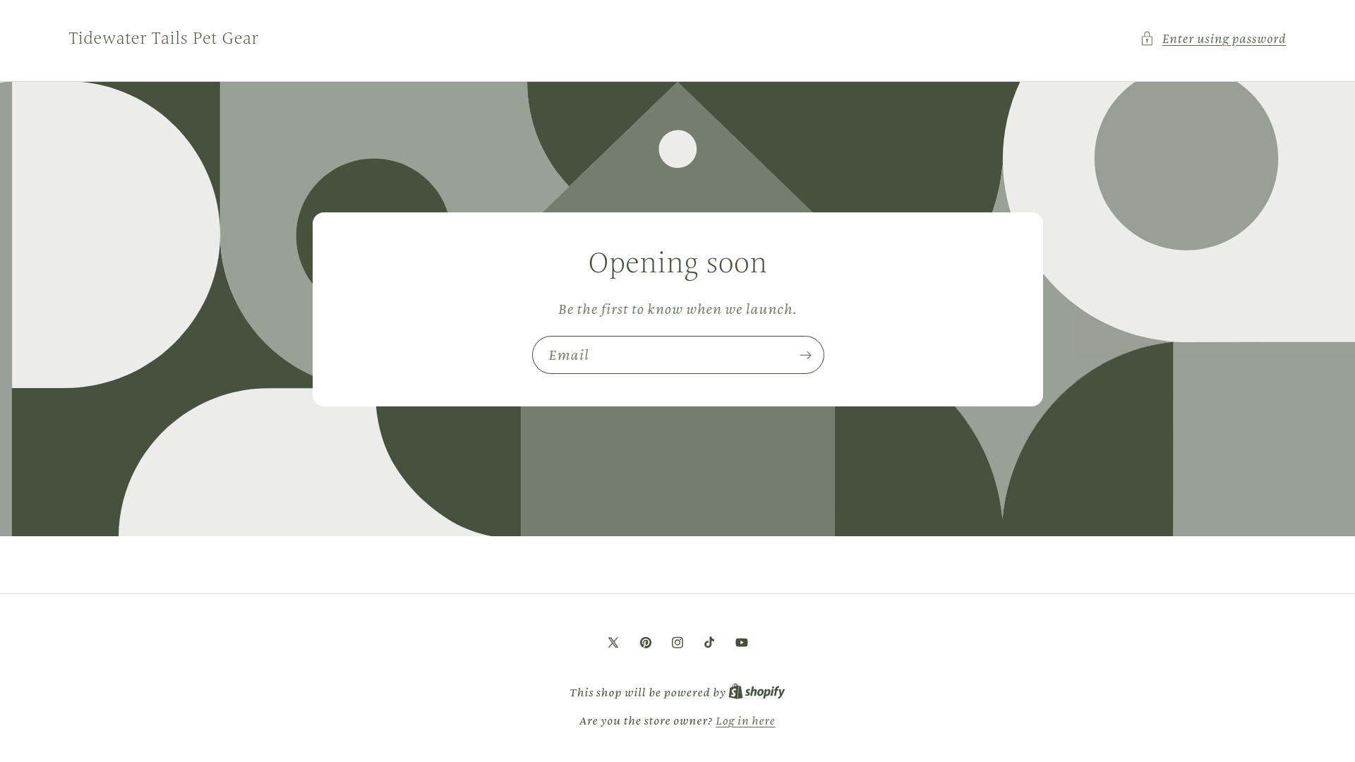 website screenshot of https://tidewatertailspetgear.com/