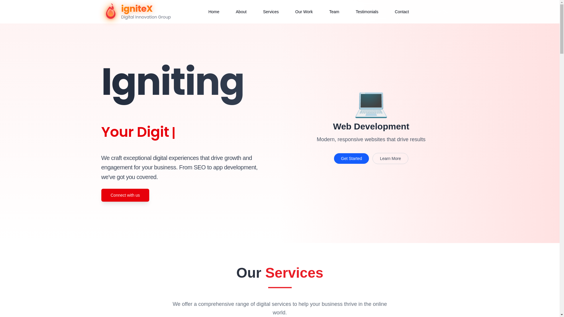 website screenshot of https://ignitexsolution.com/