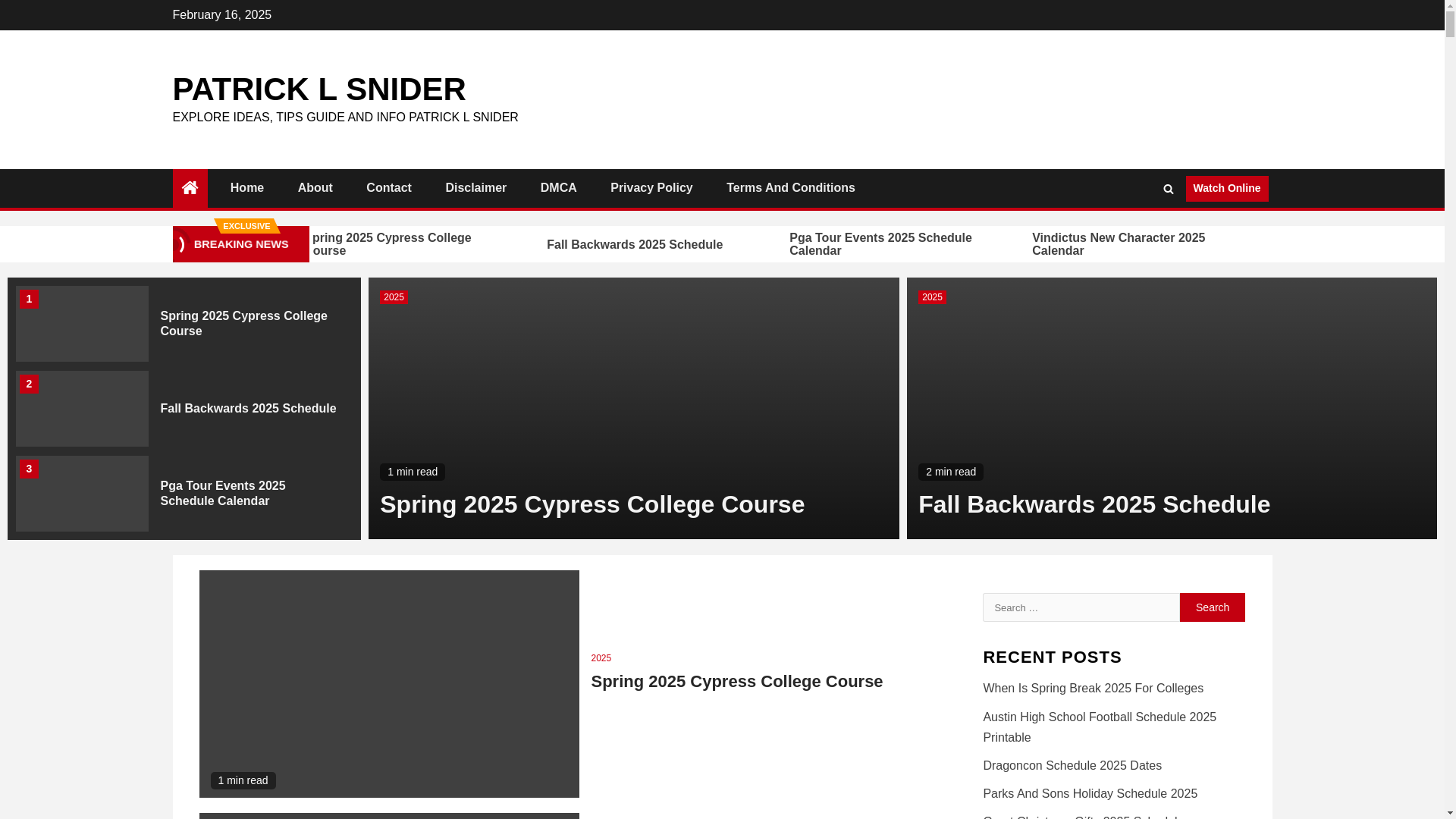 website screenshot of https://patricklsnider.pages.dev/