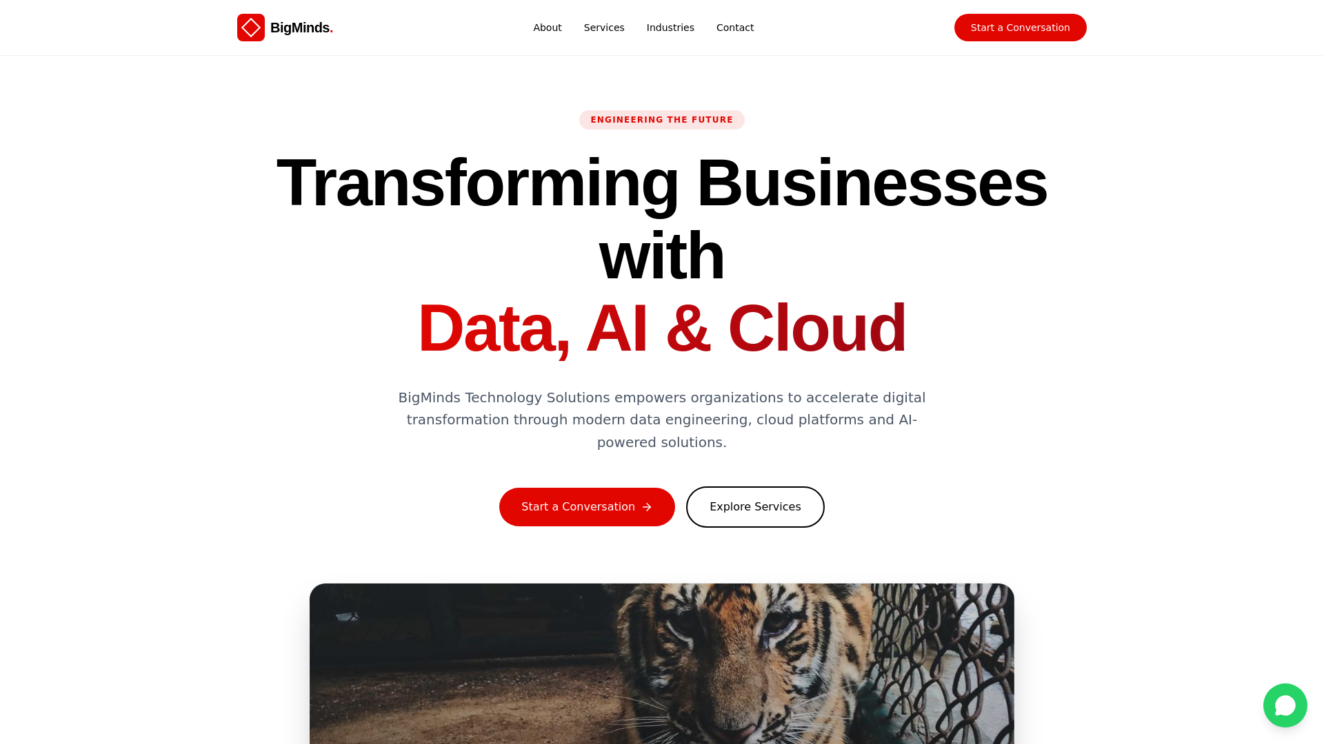 website screenshot of https://bigmindstech-new.pages.dev/