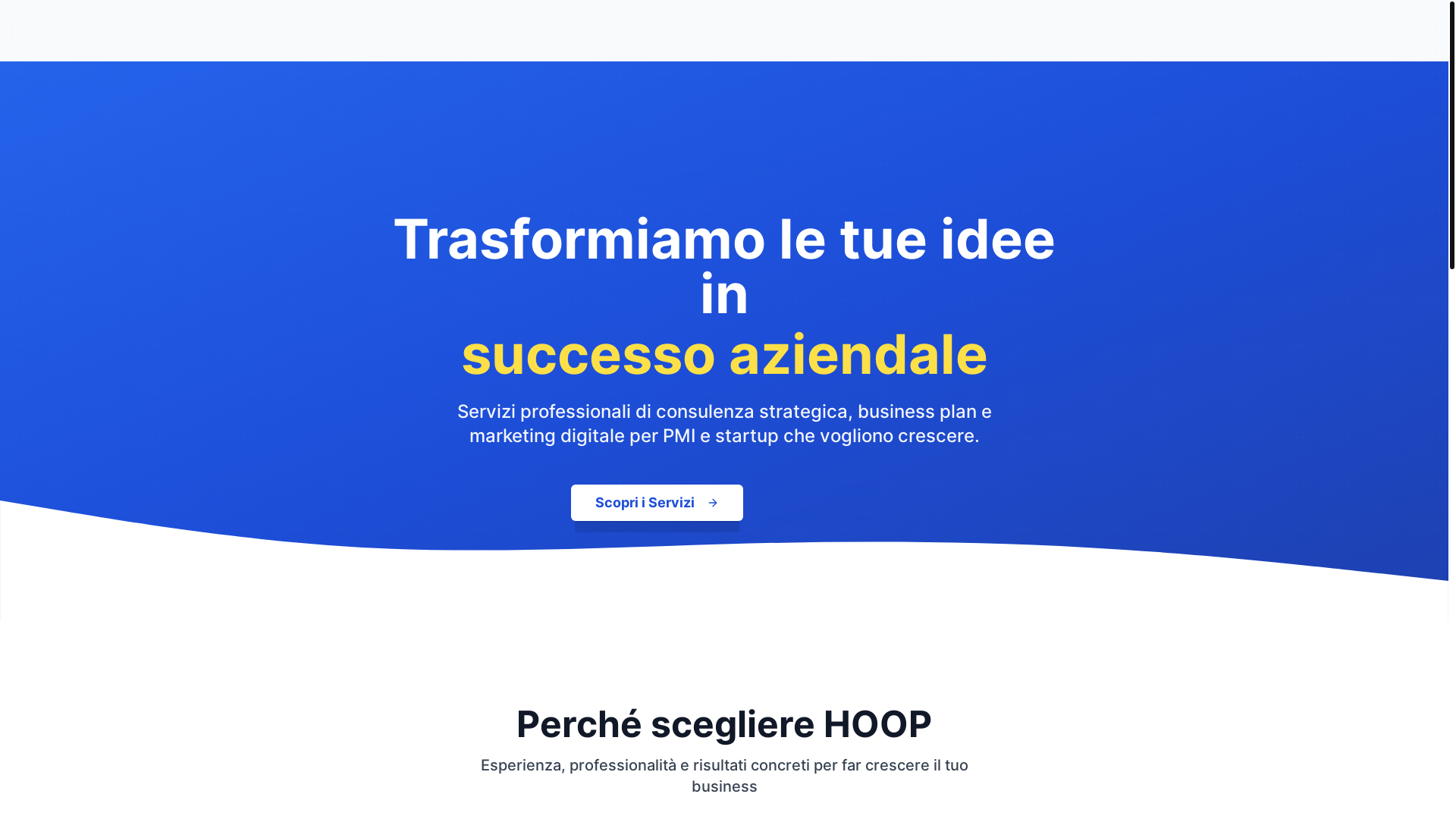 website screenshot of https://hoopsrlcommerce.com/