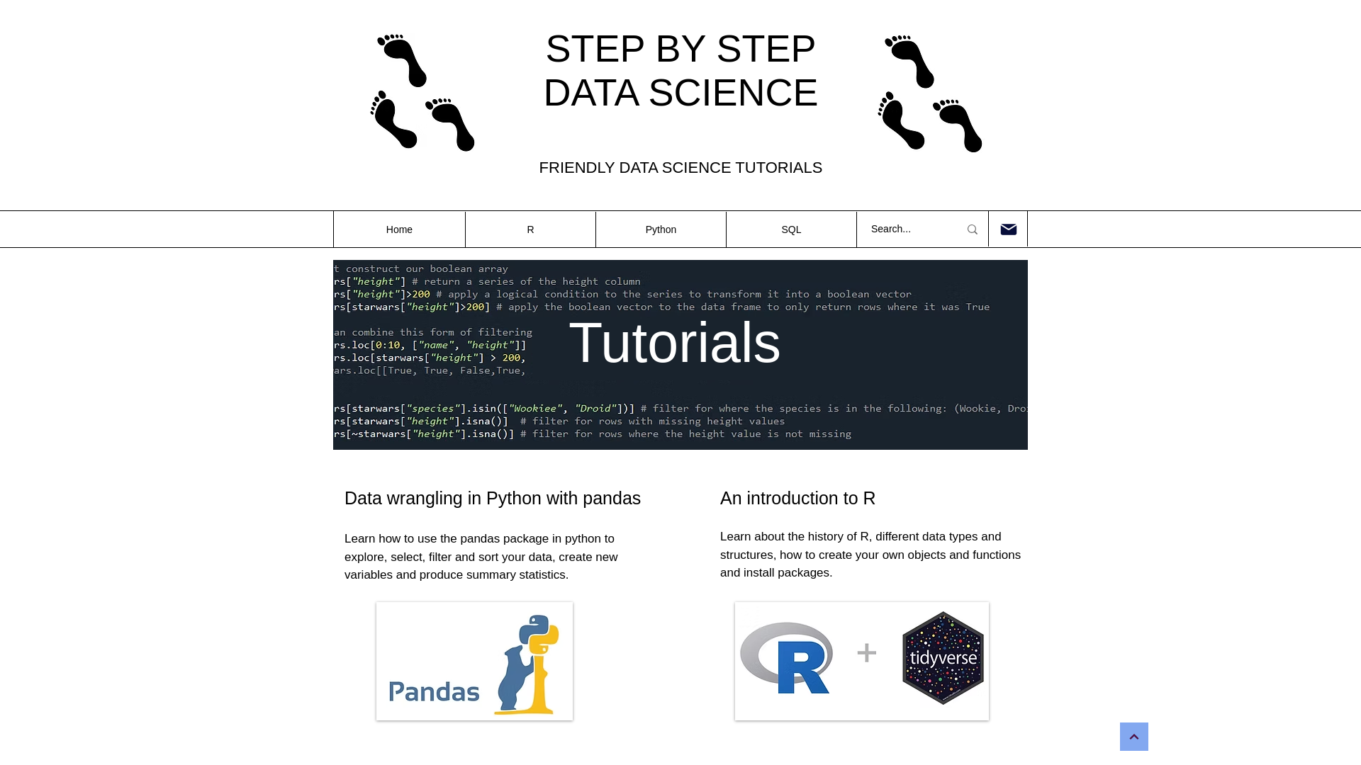 website screenshot of https://stepbystepdatascience.uk/