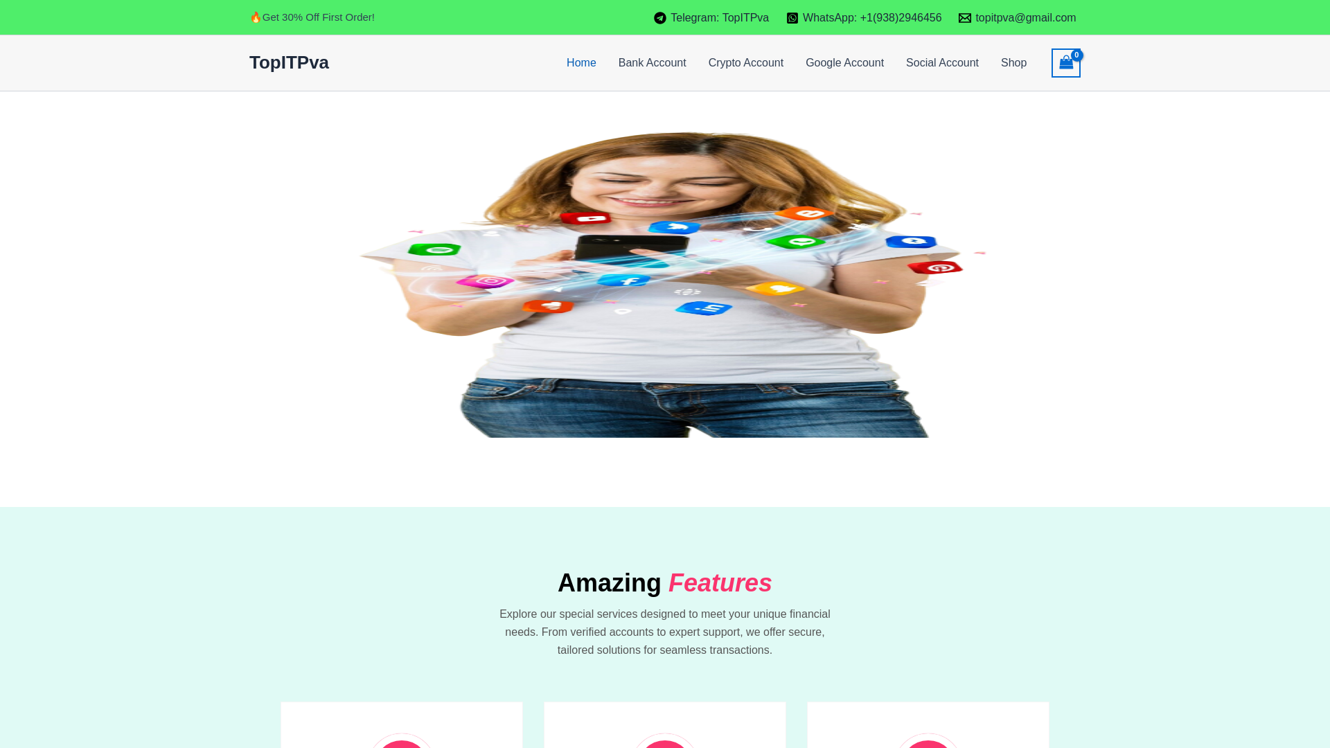 website screenshot of https://topitpva.com/