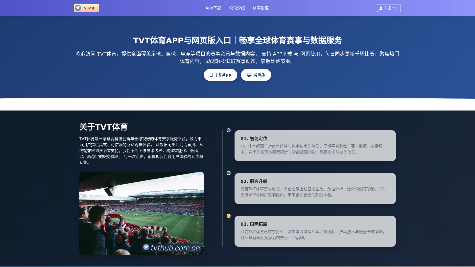 website screenshot of https://tvthub.com.cn/