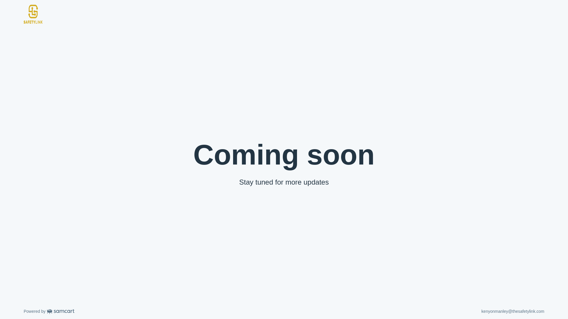 website screenshot of https://thesafetylink.io/