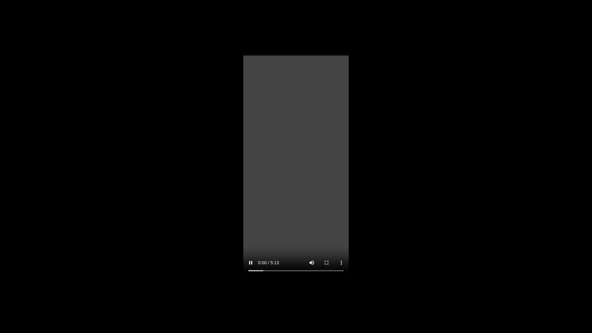 website screenshot of https://iievietnam.org/wp-content/uploads/2024/10/skirby-dog-video-leak.mp4