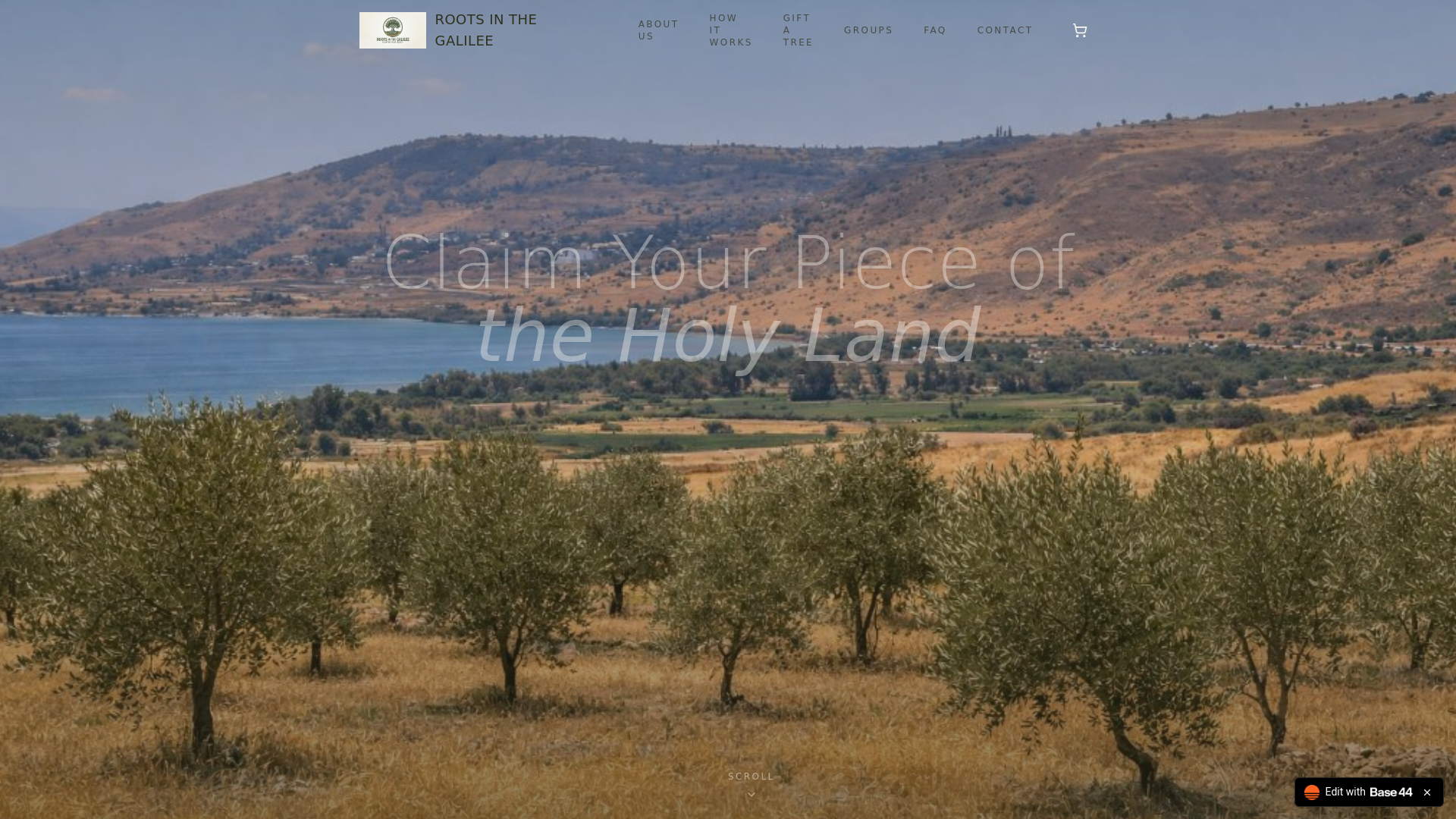 website screenshot of https://galilee-roots.com/