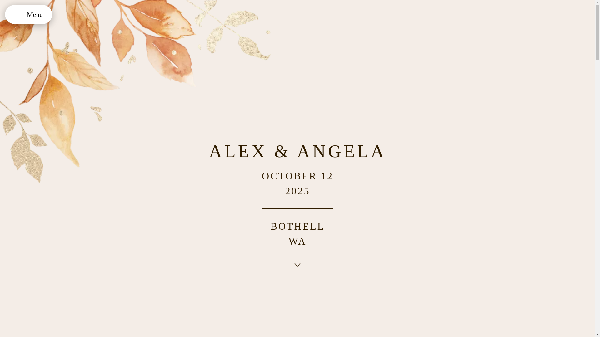 website screenshot of https://angelawedsalex.com/