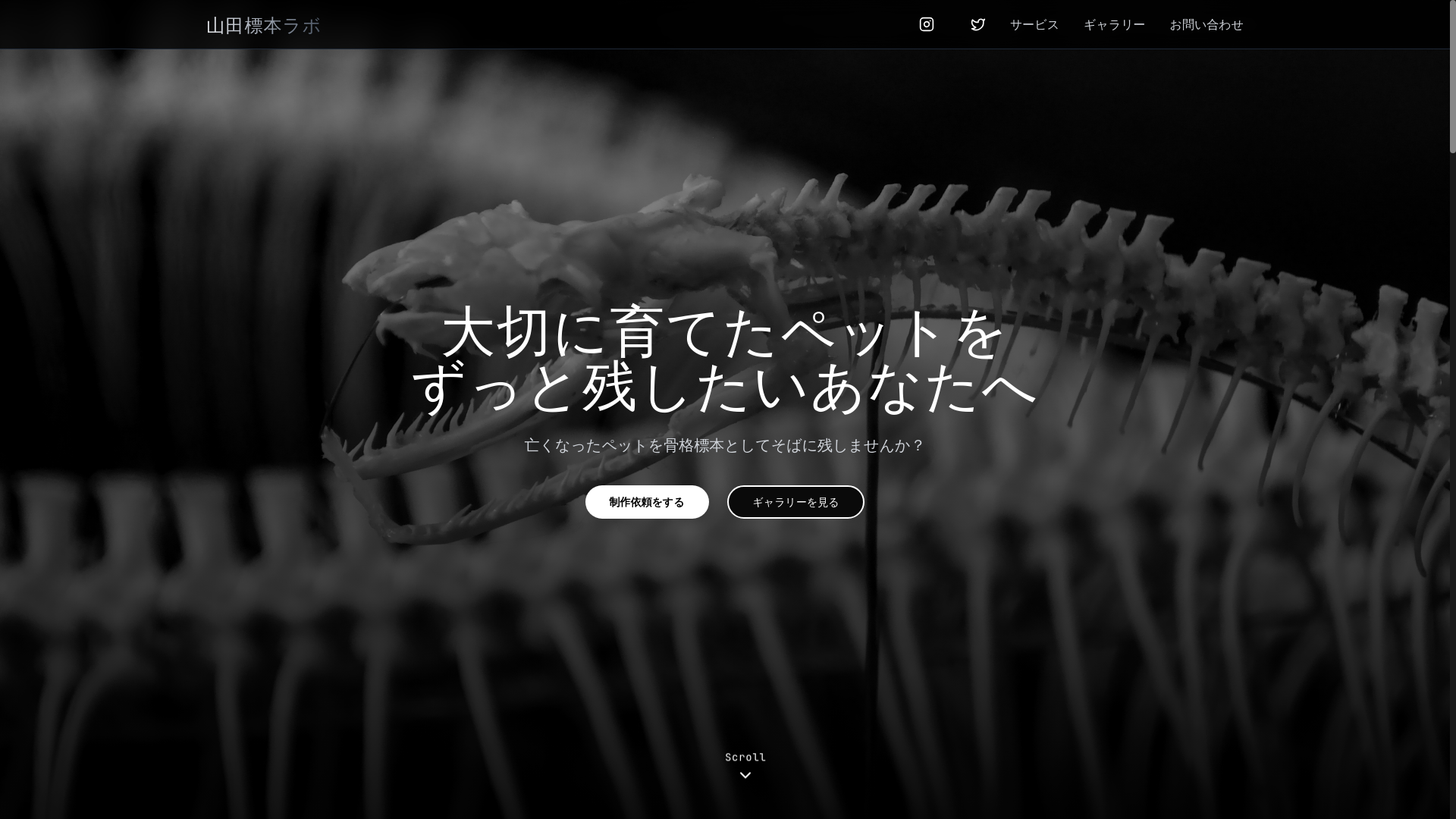 website screenshot of https://pageyouyamada.pages.dev/