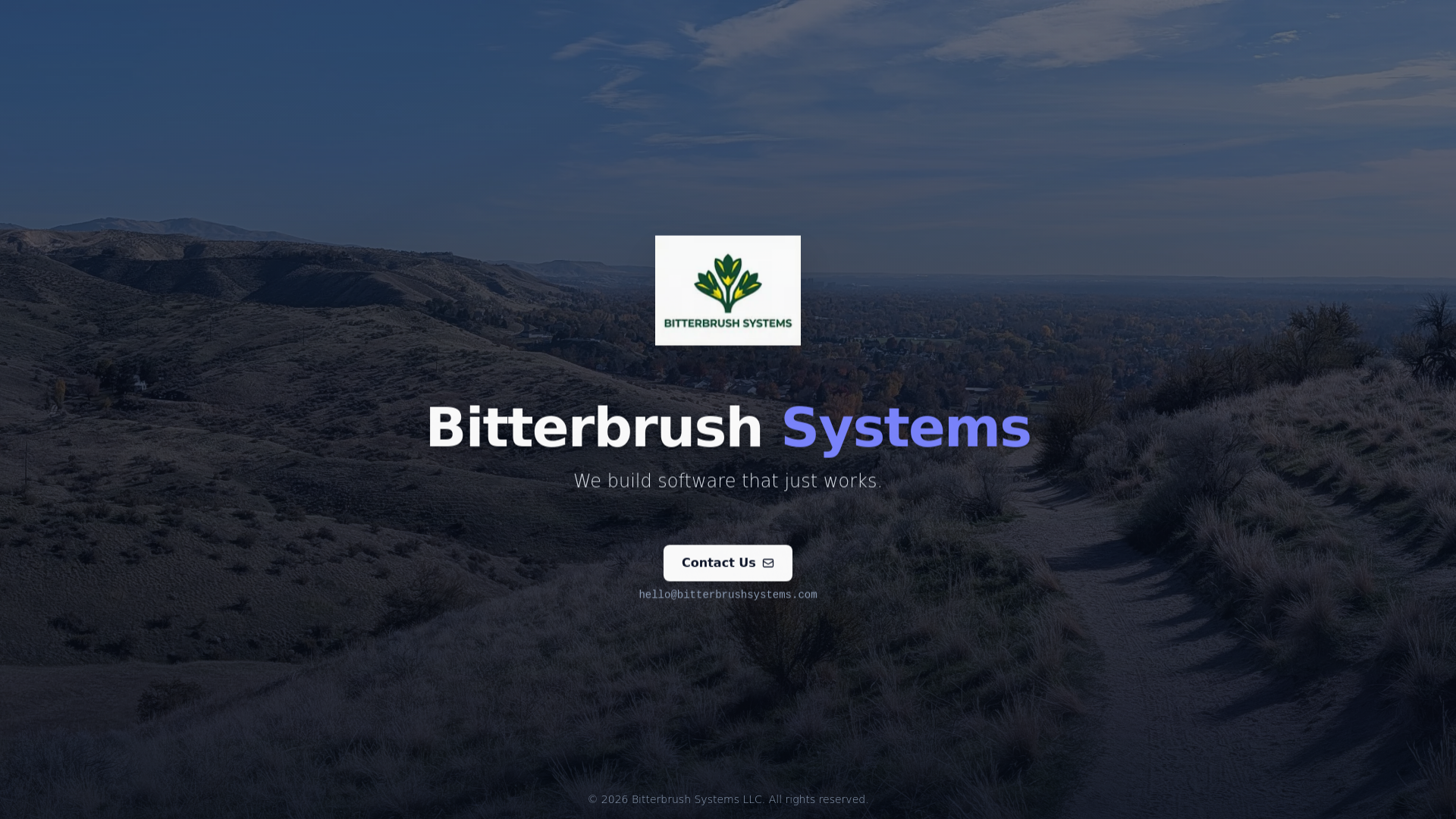 website screenshot of https://bitterbrushsystems.com