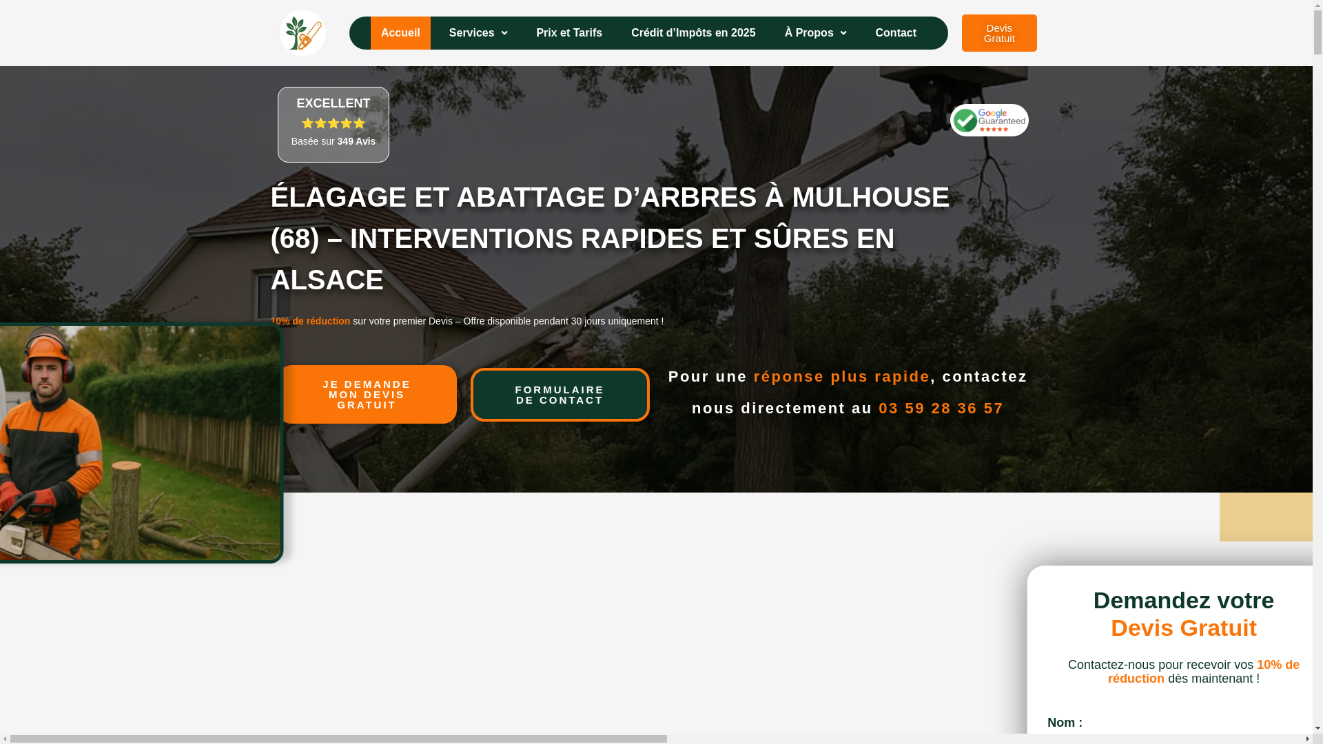 website screenshot of https://elagage-lyon-69.fr/
