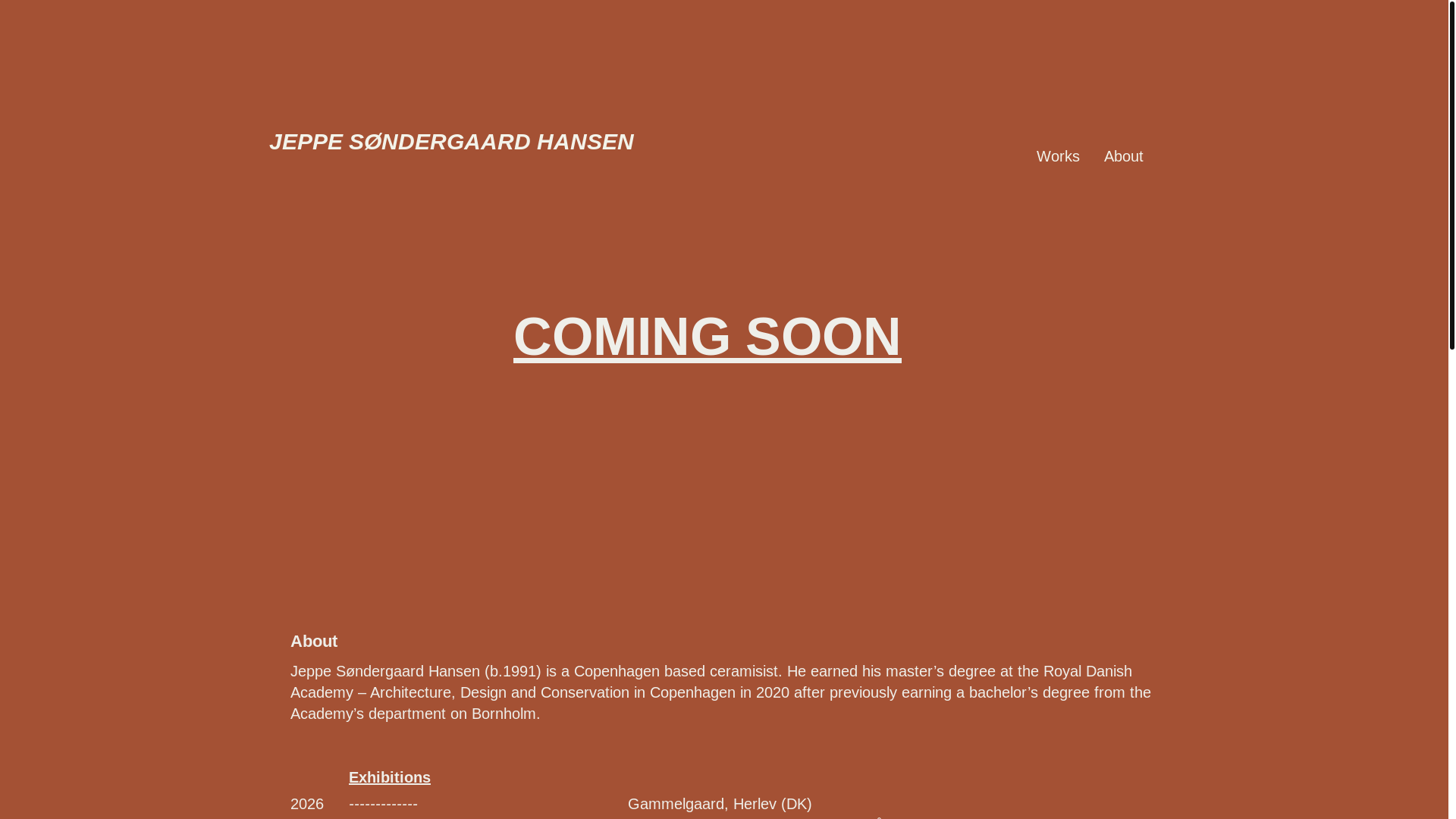 website screenshot of https://jeppesondergaard.dk/