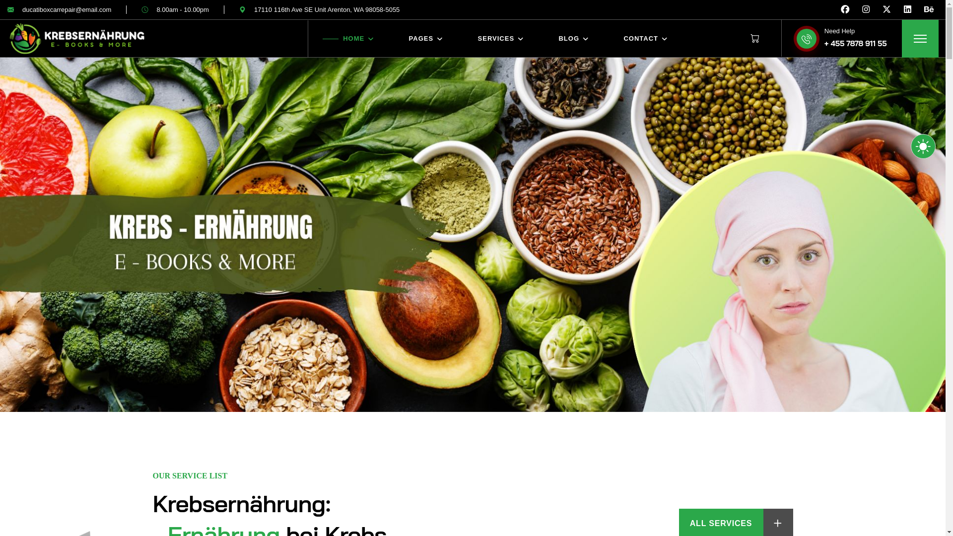 website screenshot of https://xn--krebsernhrung-ifb.com/