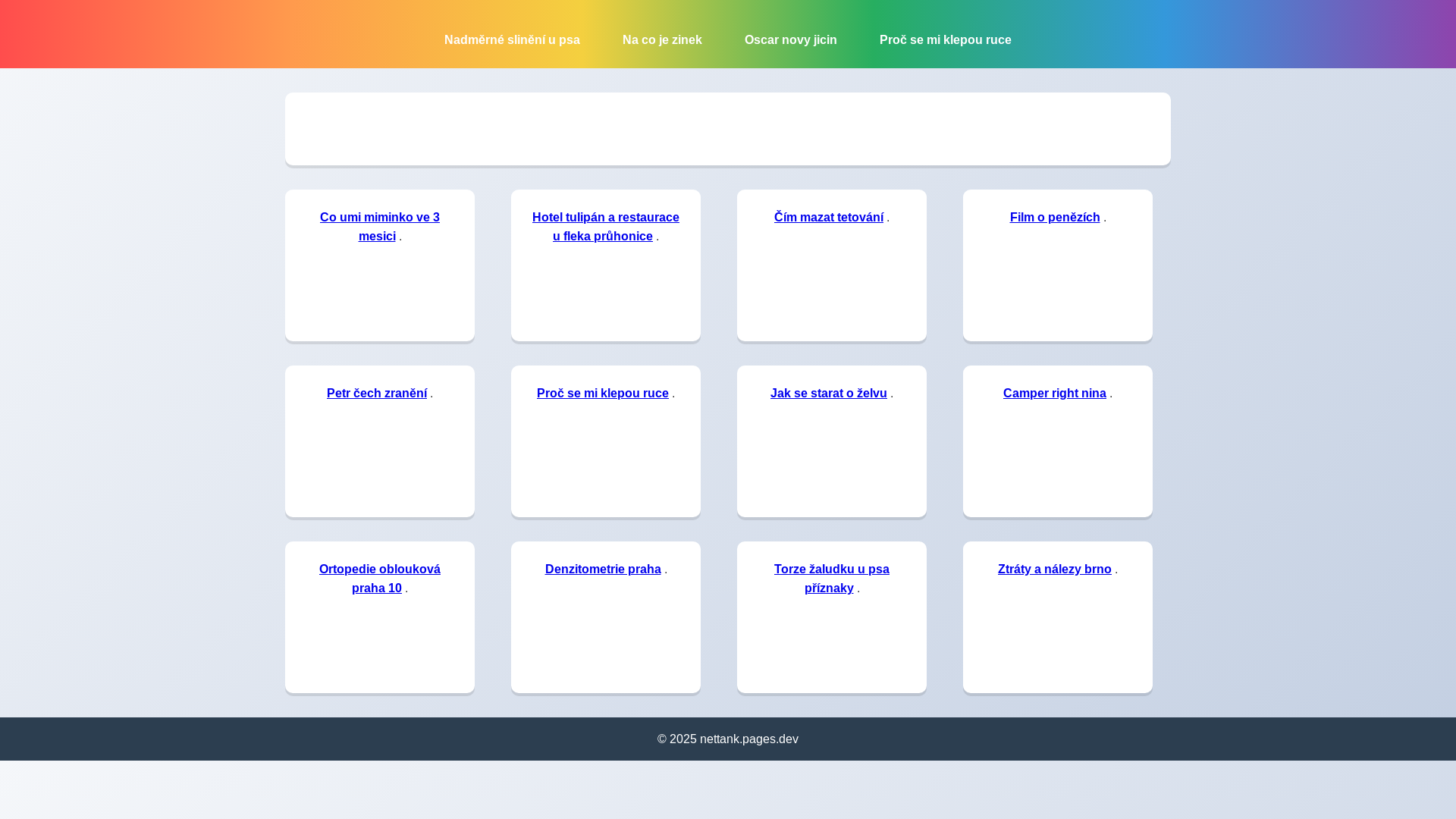 website screenshot of https://nettank.pages.dev/