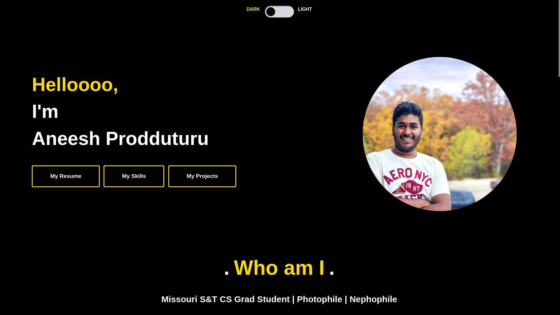 website screenshot of https://aneeshpavan-github-io.pages.dev/