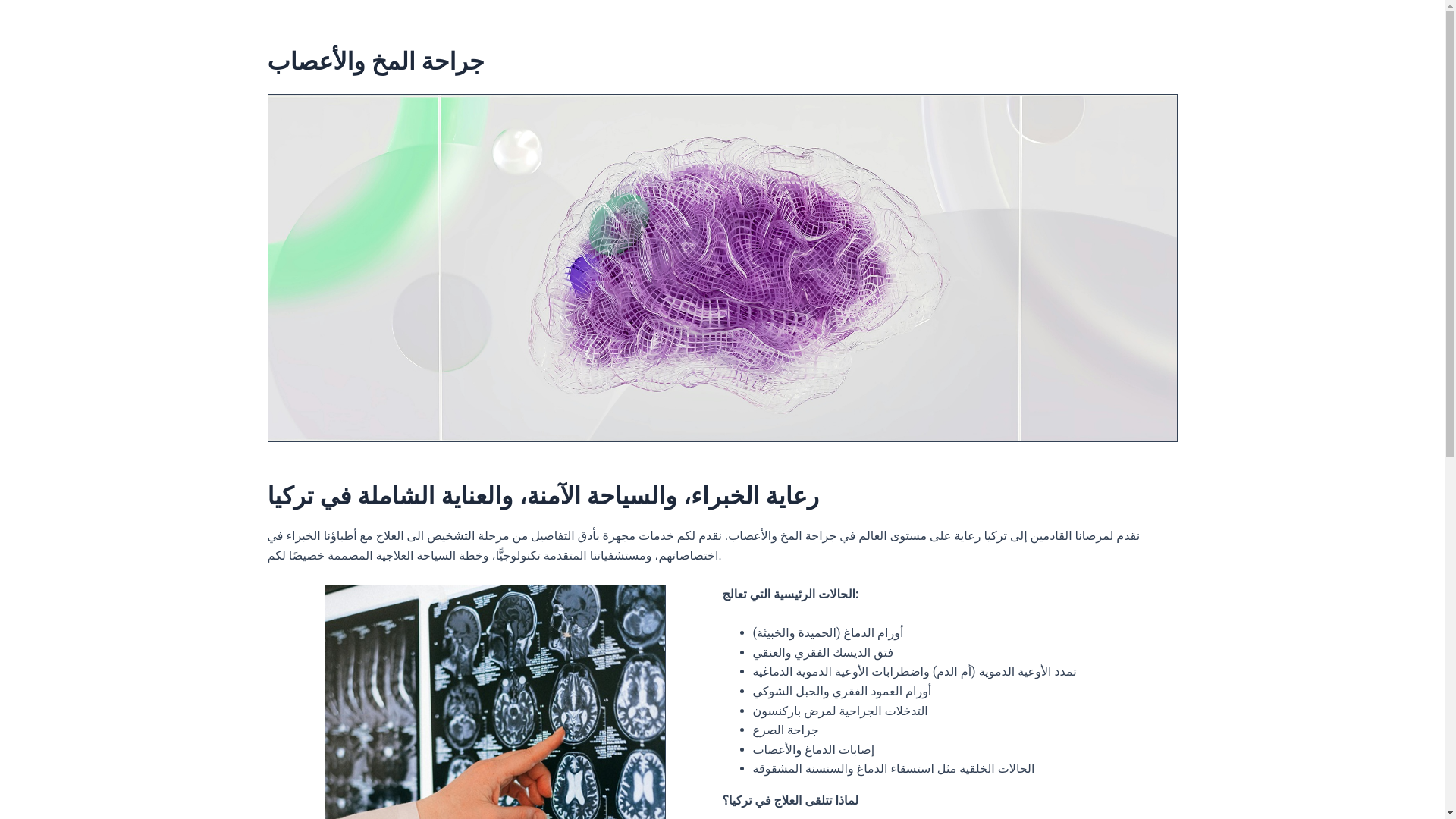 website screenshot of https://medipolpbrainsurgery-ar.pages.dev/