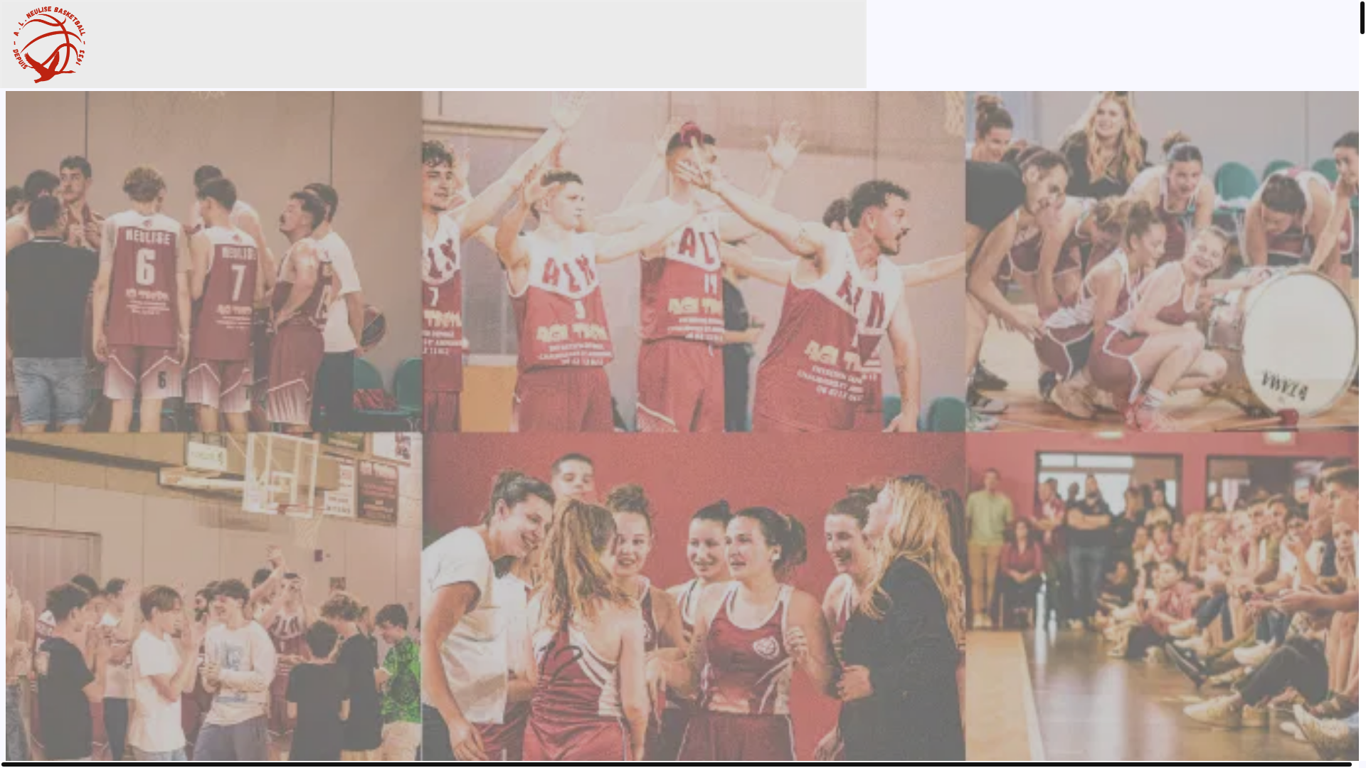 website screenshot of https://alneulisebasket.com/