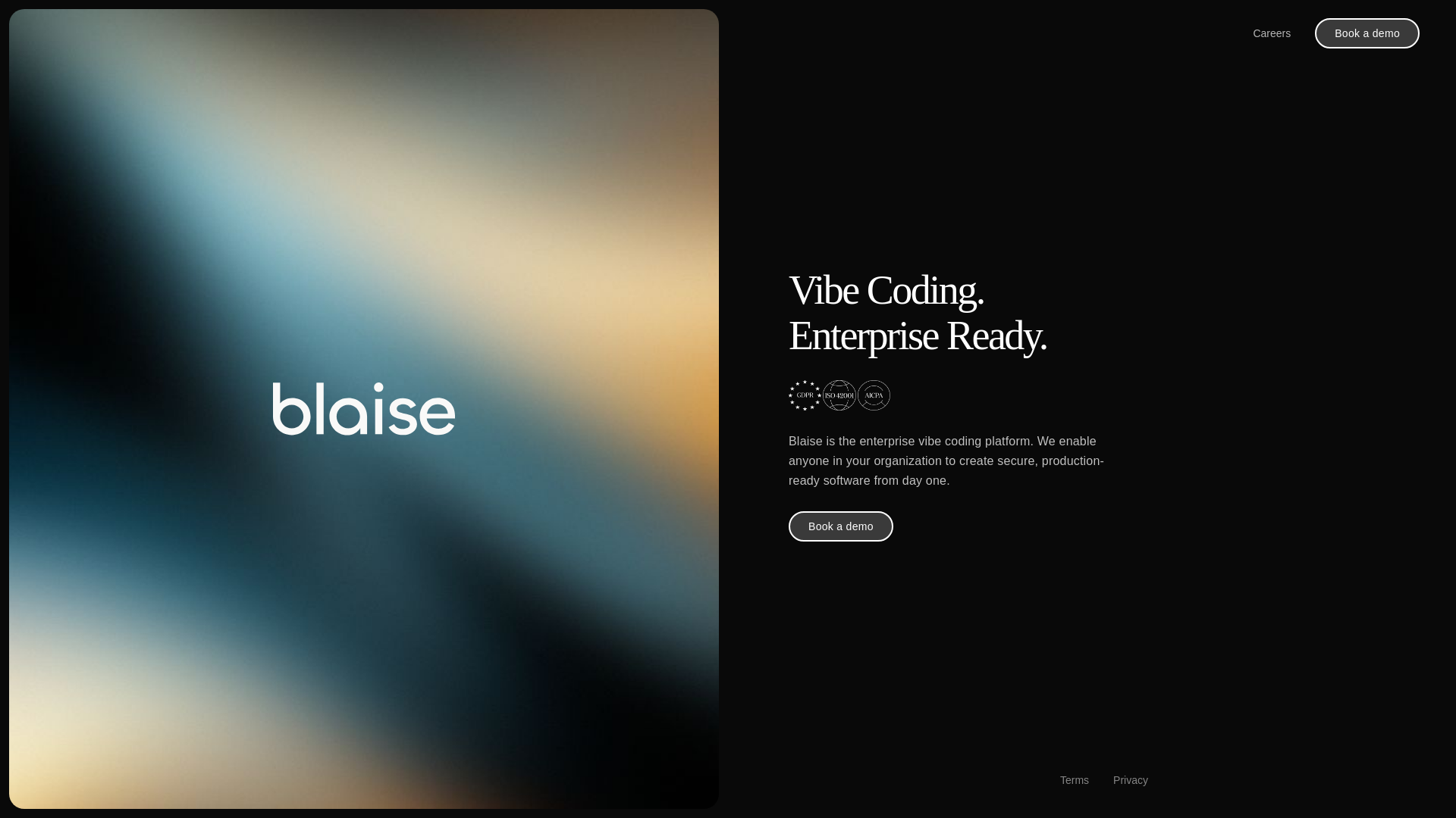 website screenshot of https://blaise-landing-1xq.pages.dev/