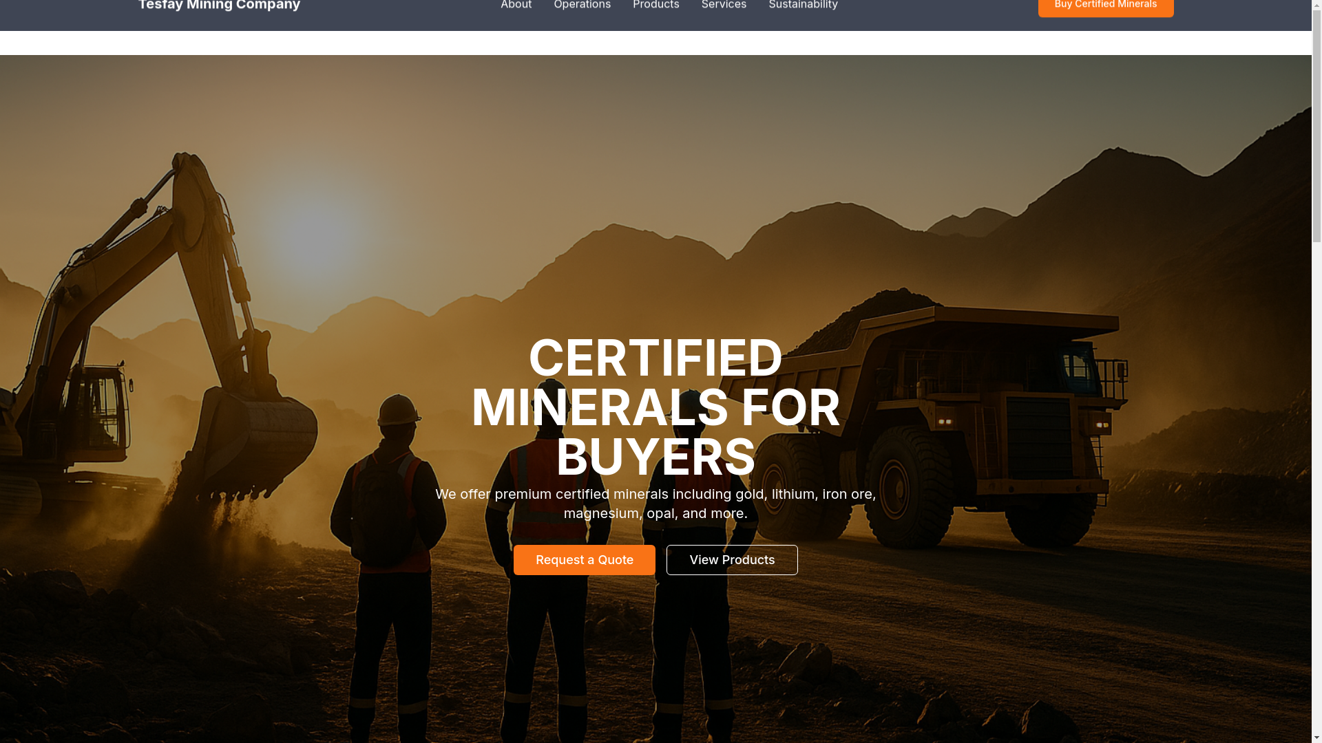 website screenshot of https://tesfaymining.org/
