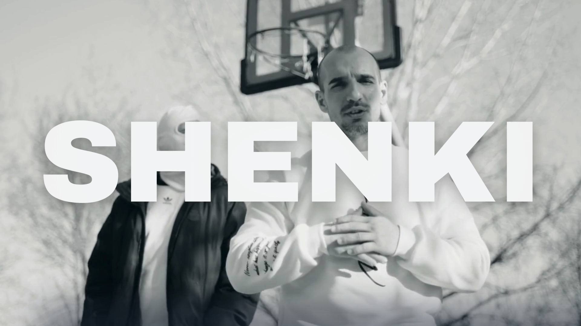 website screenshot of https://shenki.hu/