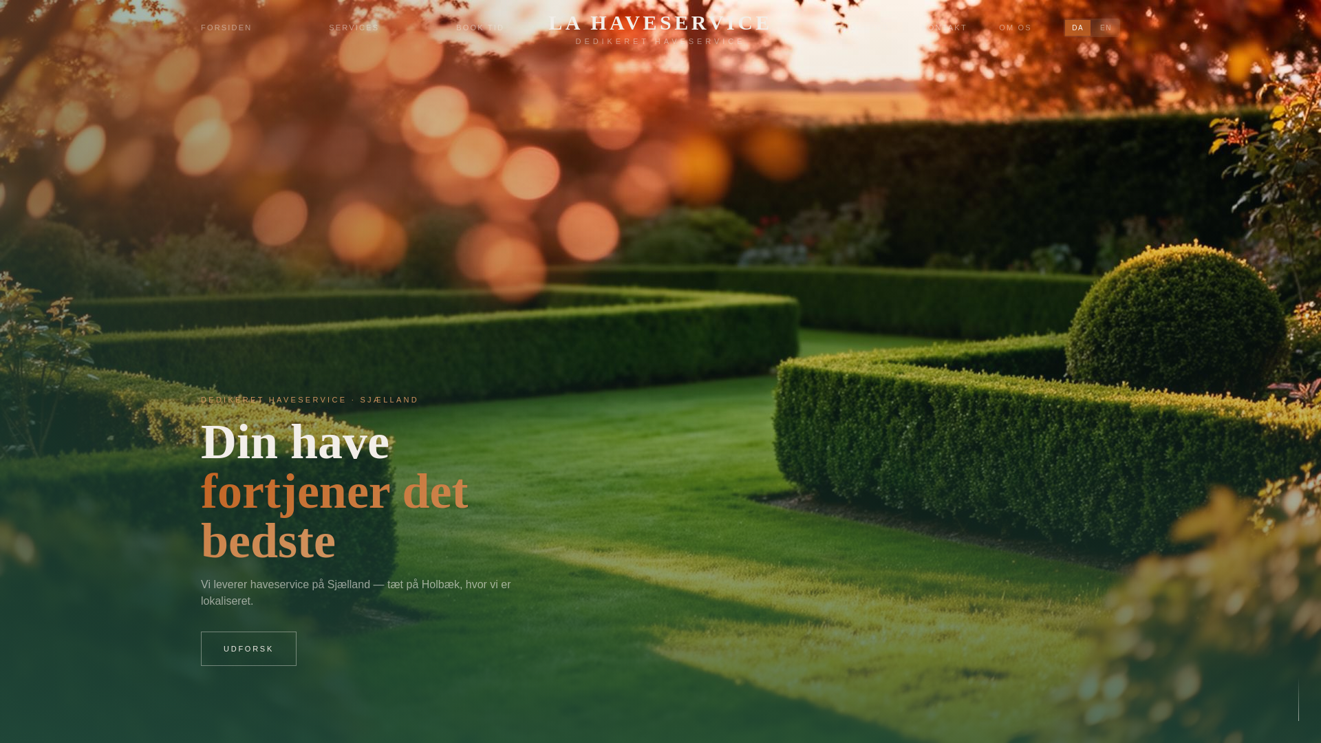 website screenshot of https://lahaveservice.com/