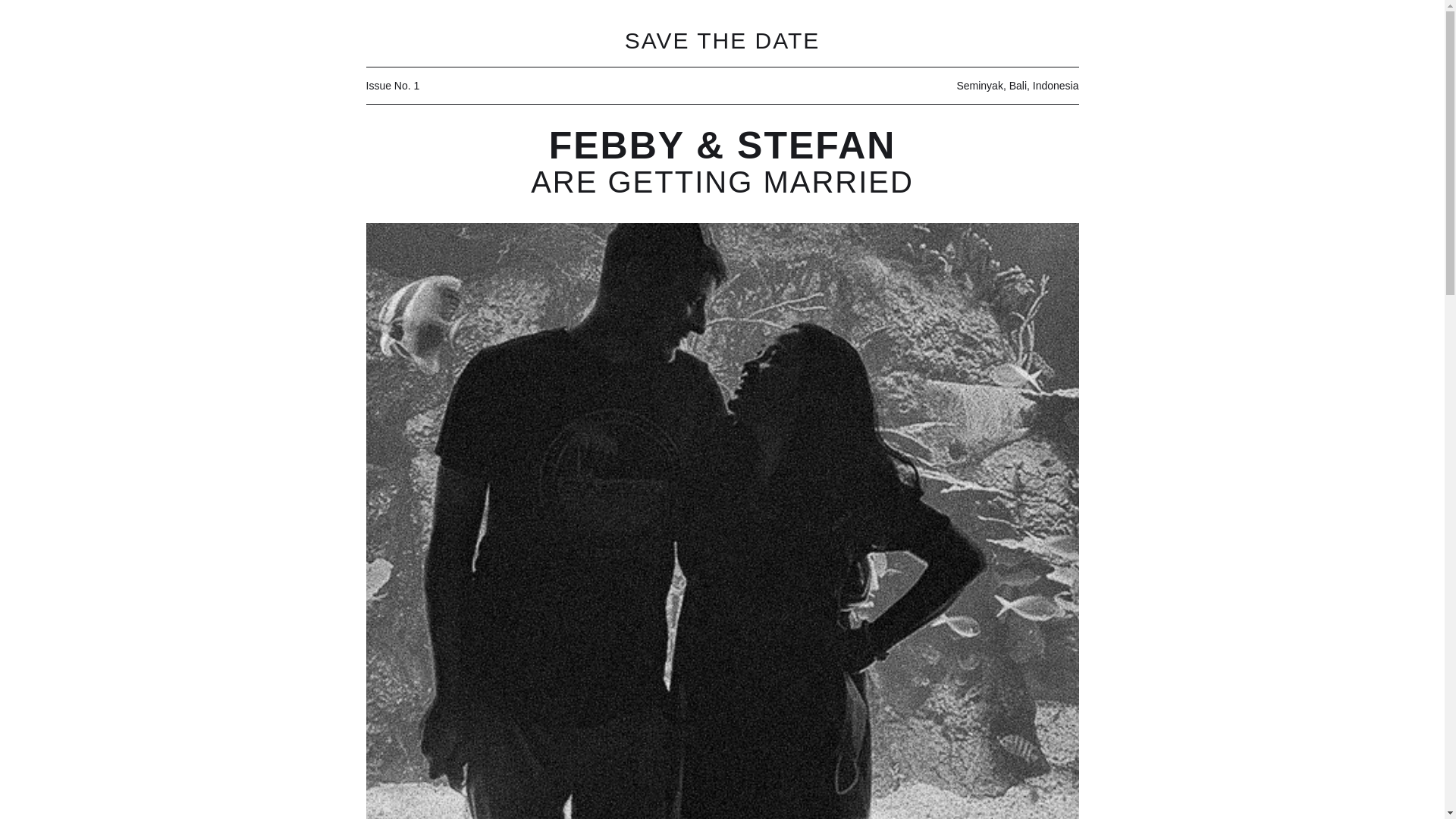 website screenshot of https://febbyandstefan.com/