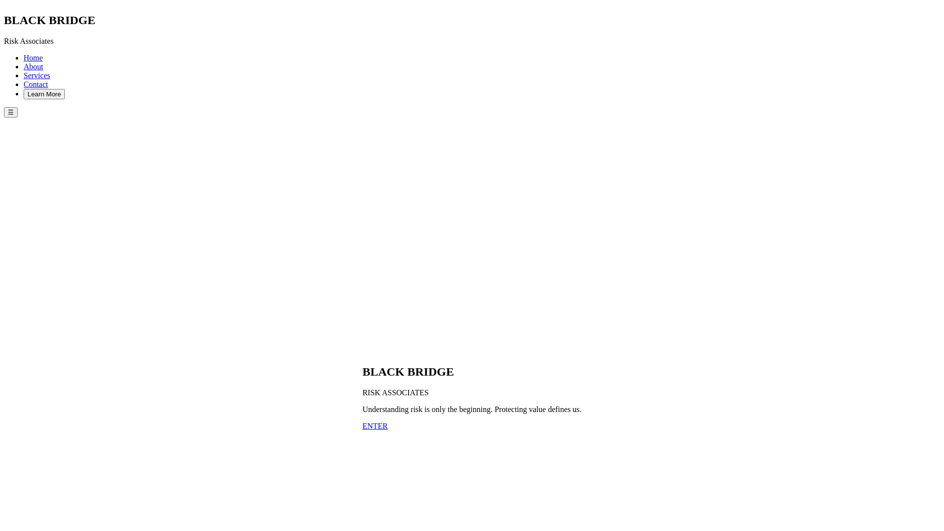 website screenshot of https://blackbridgeriskassociates.com/