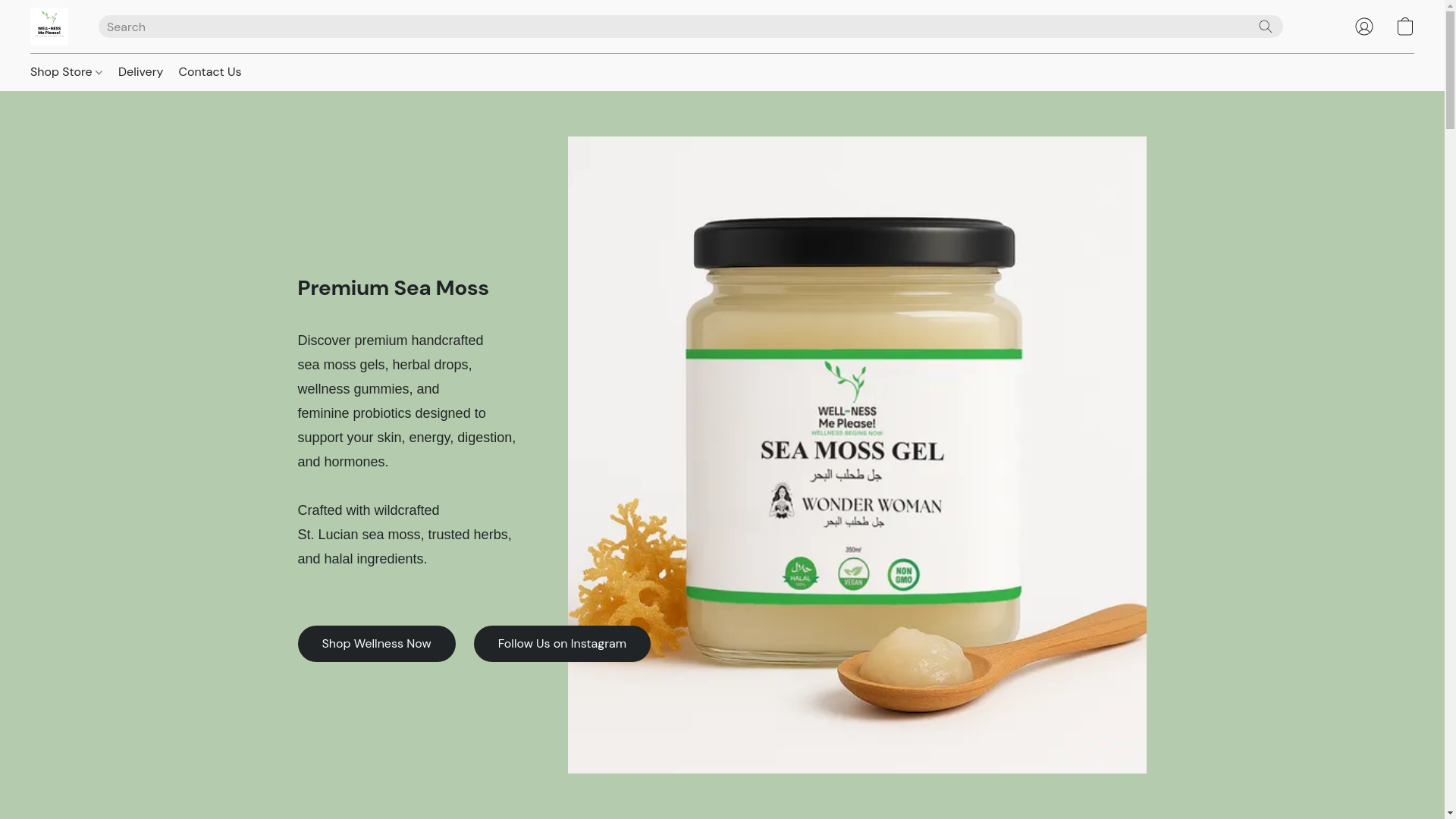 website screenshot of https://wellnessmeplease.online/
