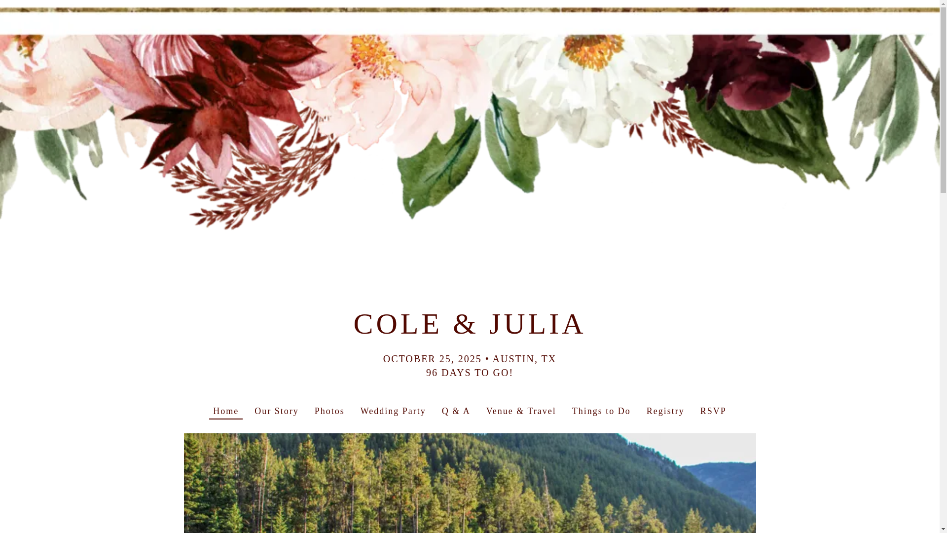 website screenshot of https://coleandjuliawedding.com/