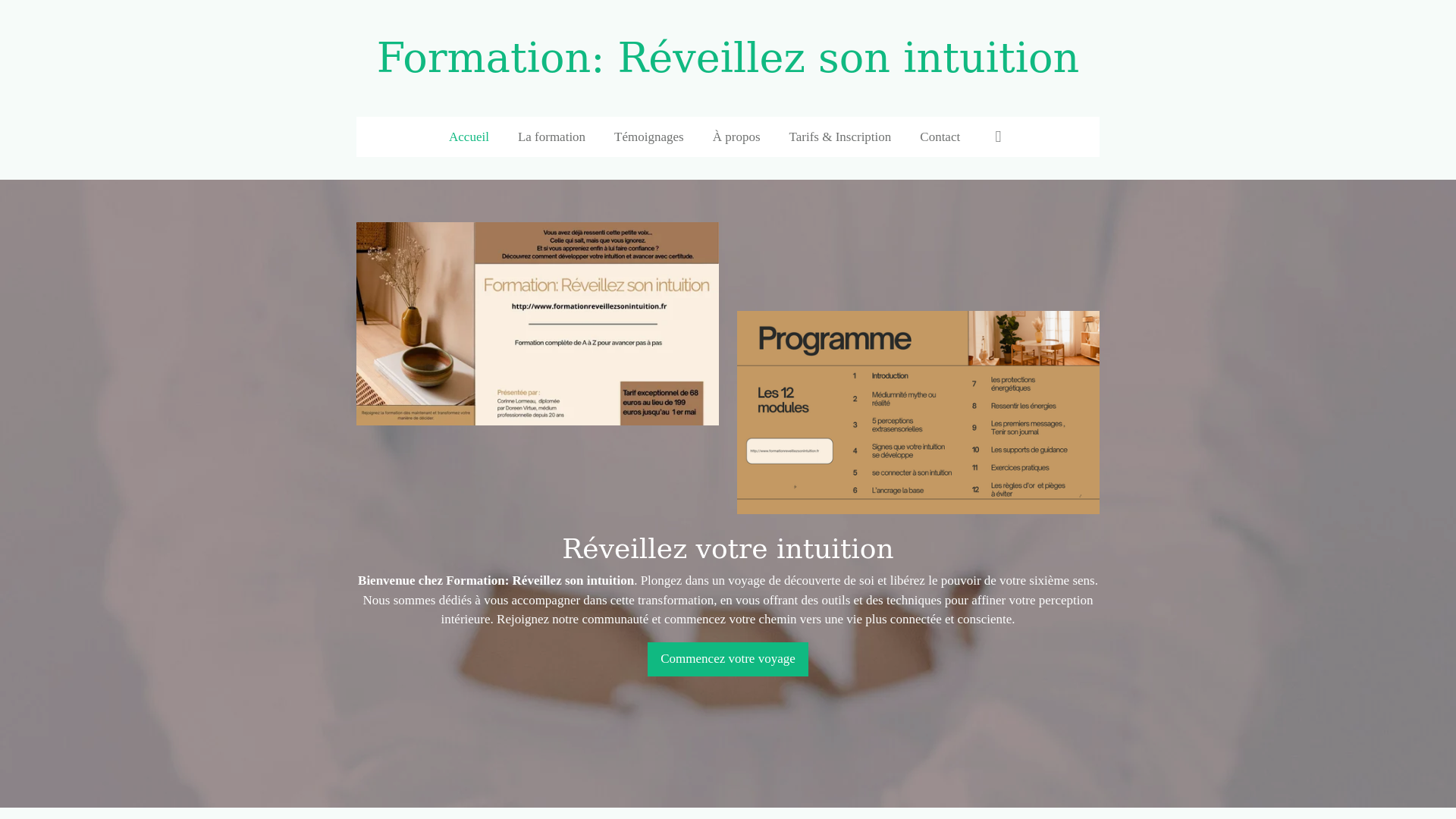 website screenshot of https://formationreveillezsonintuition.fr