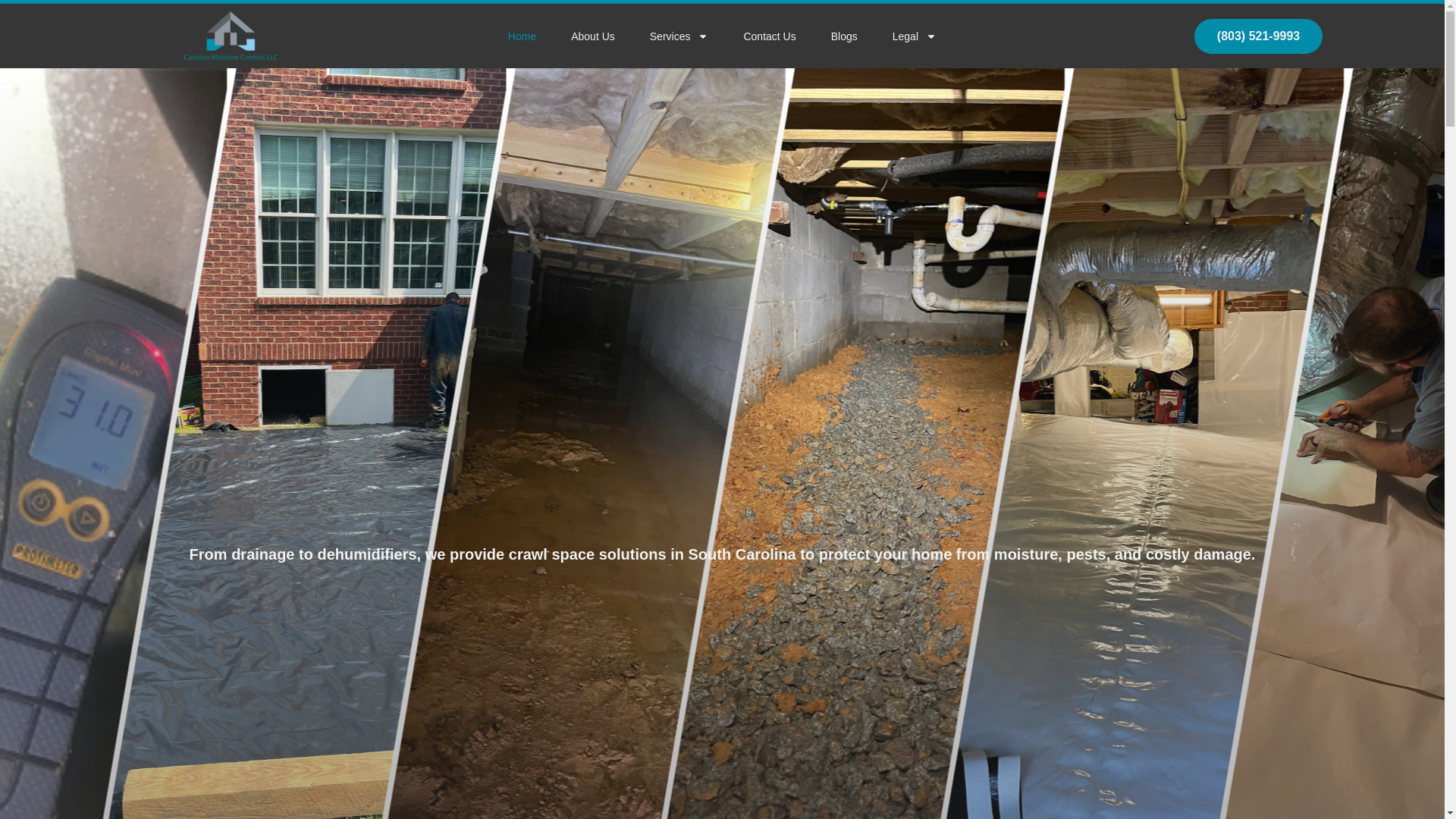 website screenshot of https://carolinamoistureandpest.com/