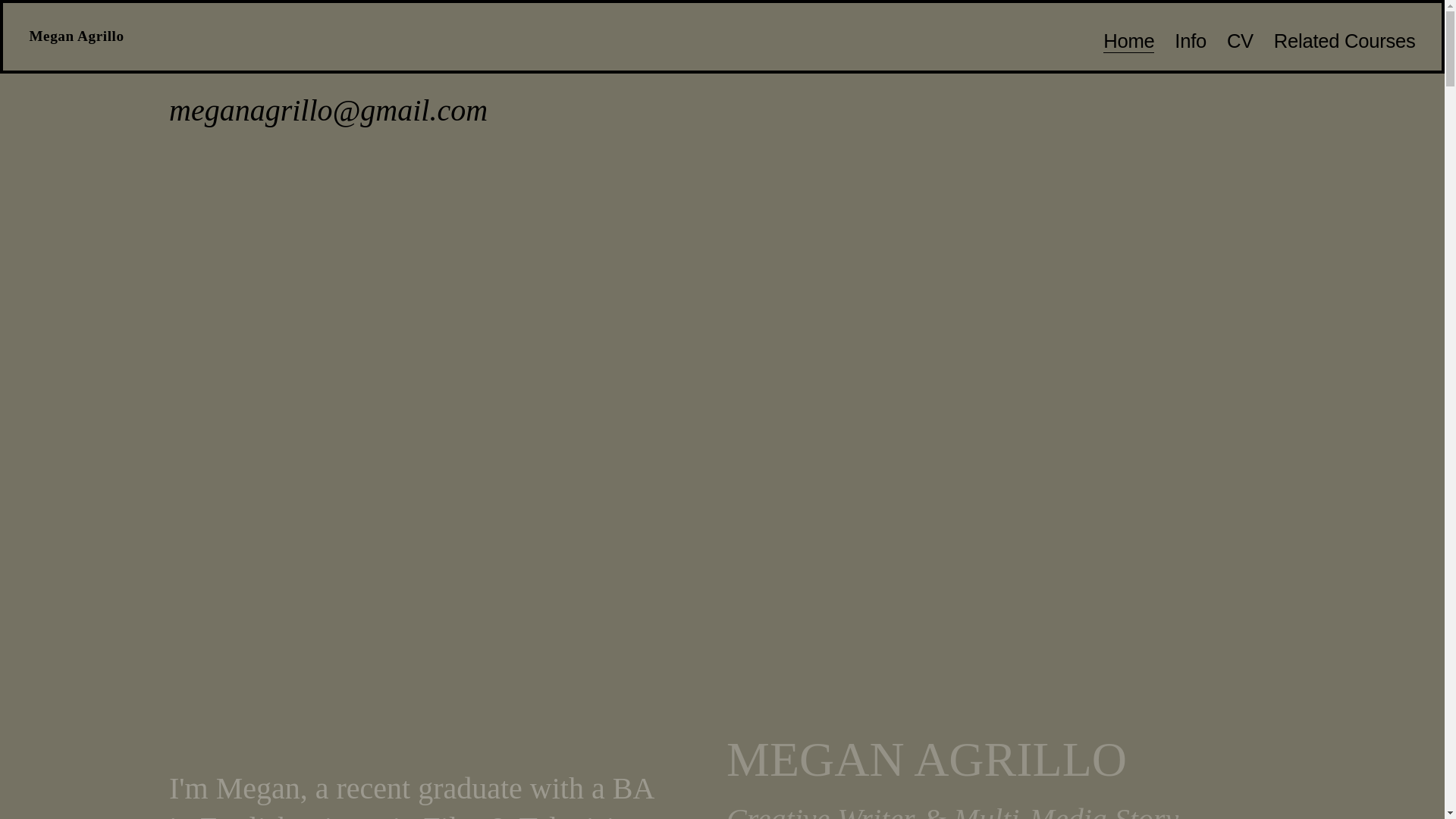 website screenshot of https://meganagrillo.com/
