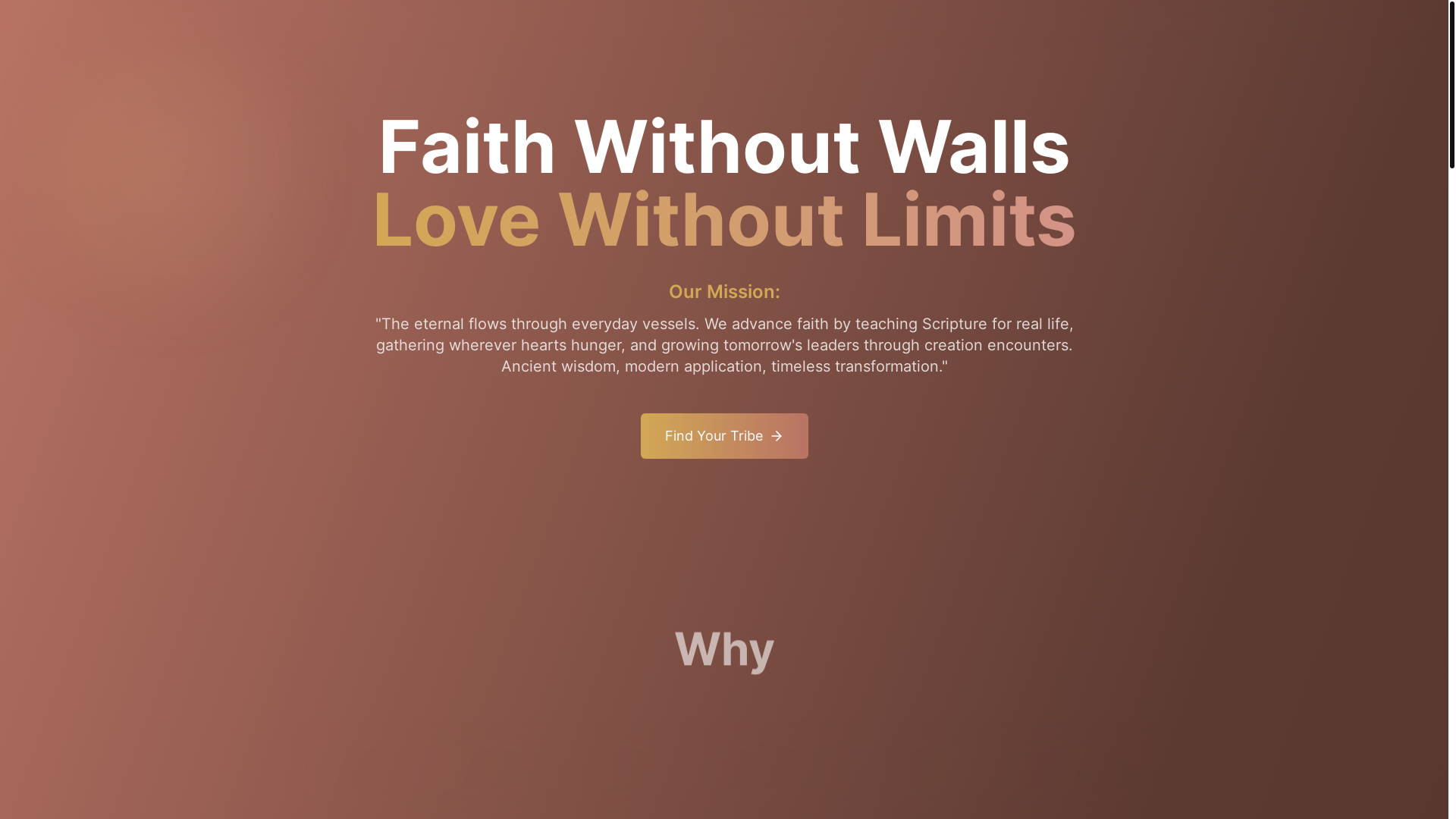 website screenshot of https://wildembracefoundation.org/
