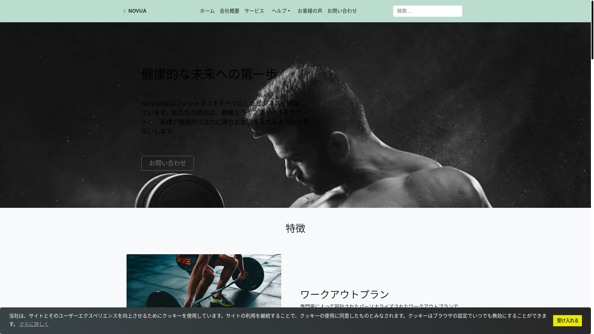 website screenshot of https://nihonfit.online/