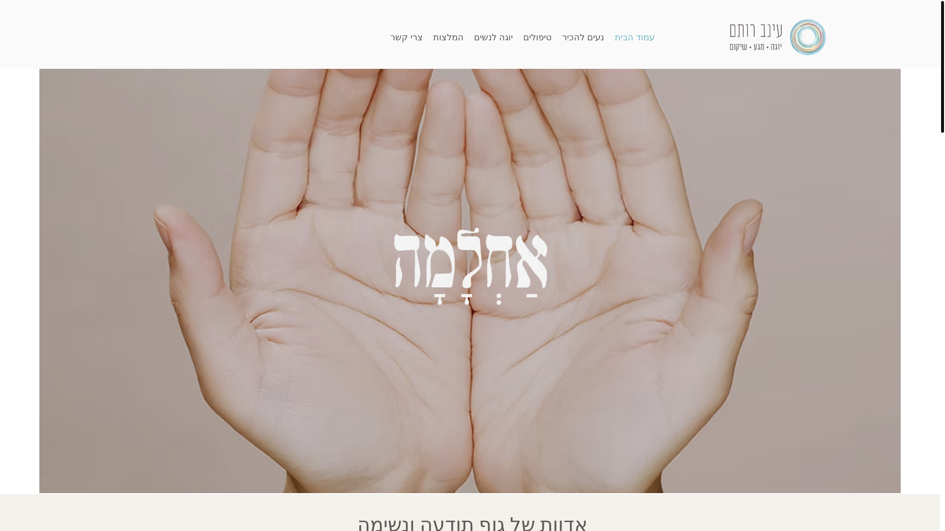 website screenshot of https://ainavrotem.com/