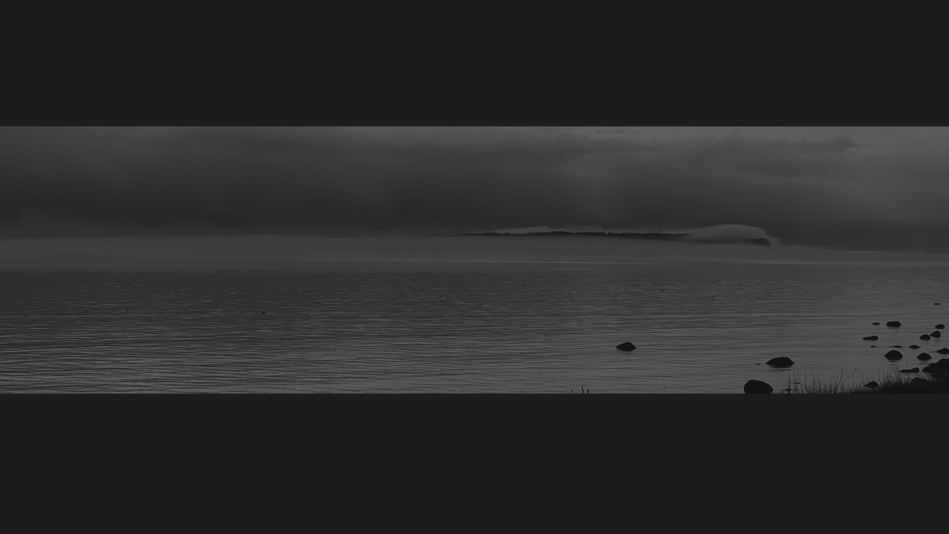 website screenshot of https://cortonn.com/