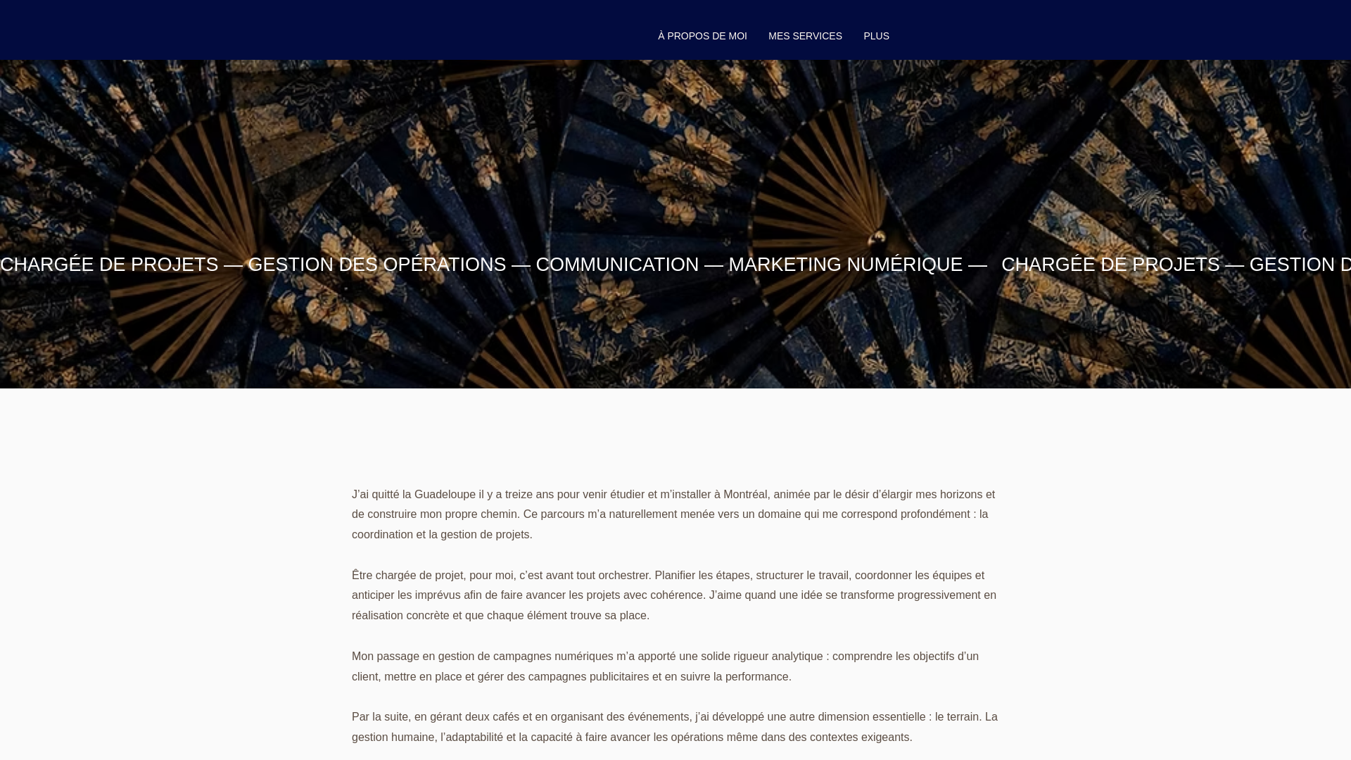 website screenshot of https://laneapagesy.com