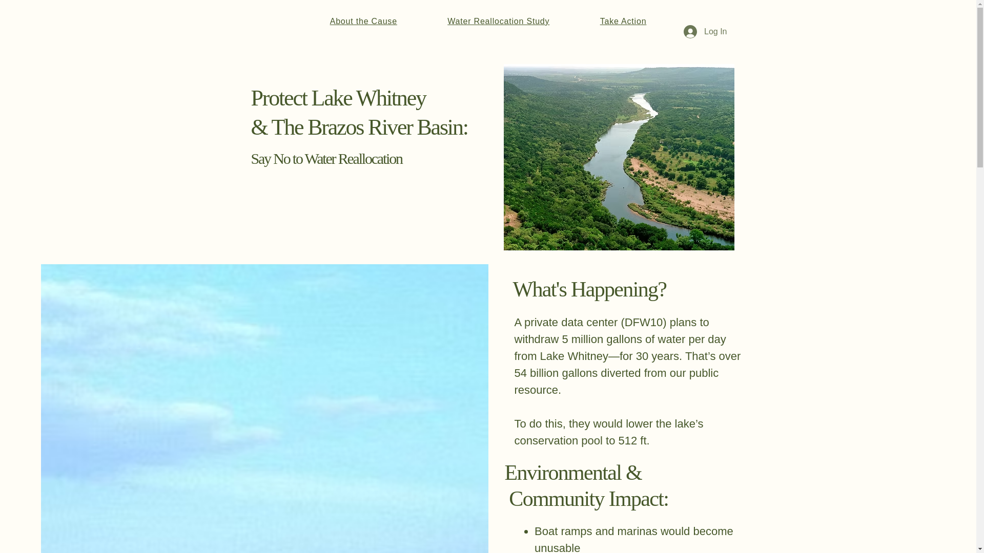 website screenshot of https://savelakewhintey.com/