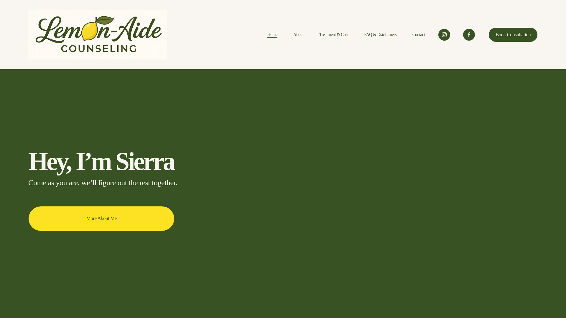 website screenshot of https://lemonaidecounseling.com/