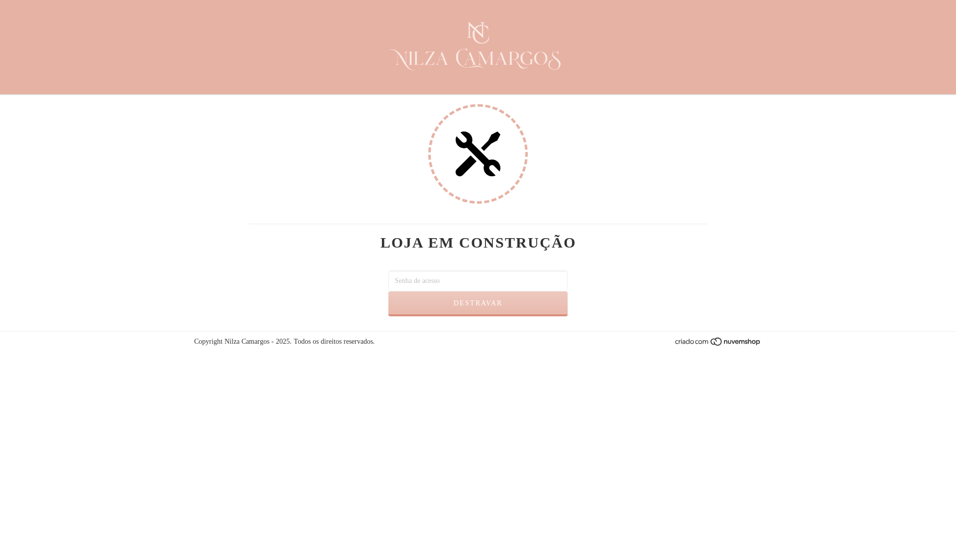 website screenshot of https://nilzacamargos.com.br/