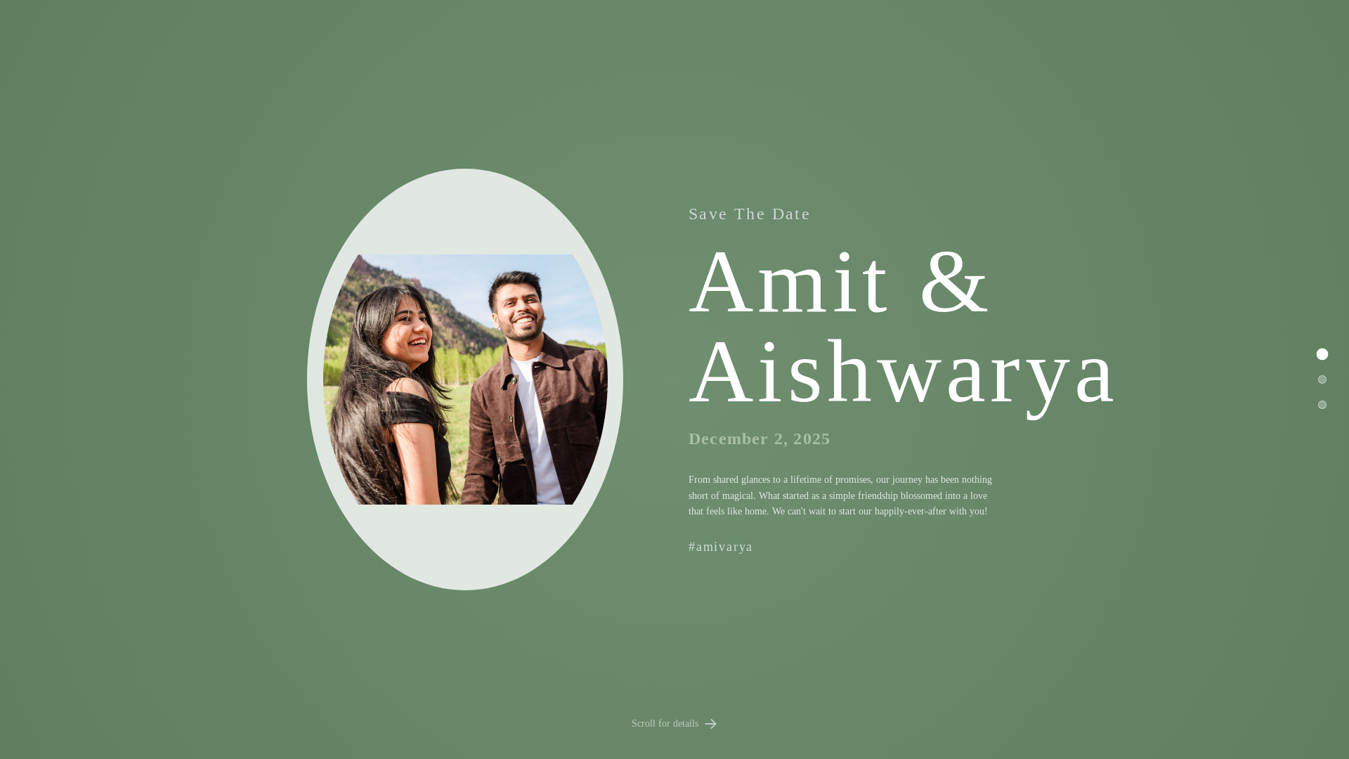 website screenshot of https://amivarya.com/