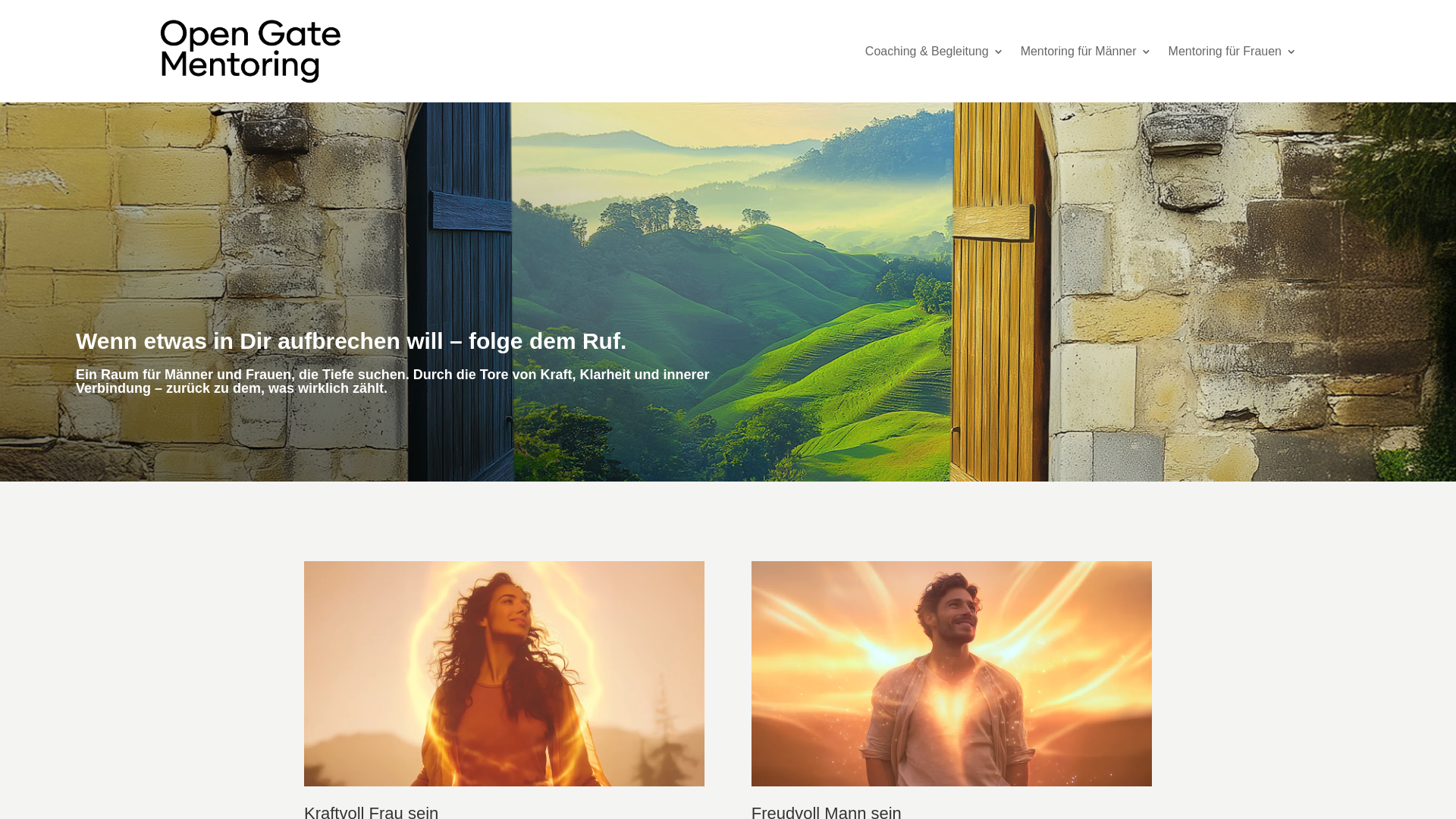 website screenshot of https://open-gate-mentoring.at