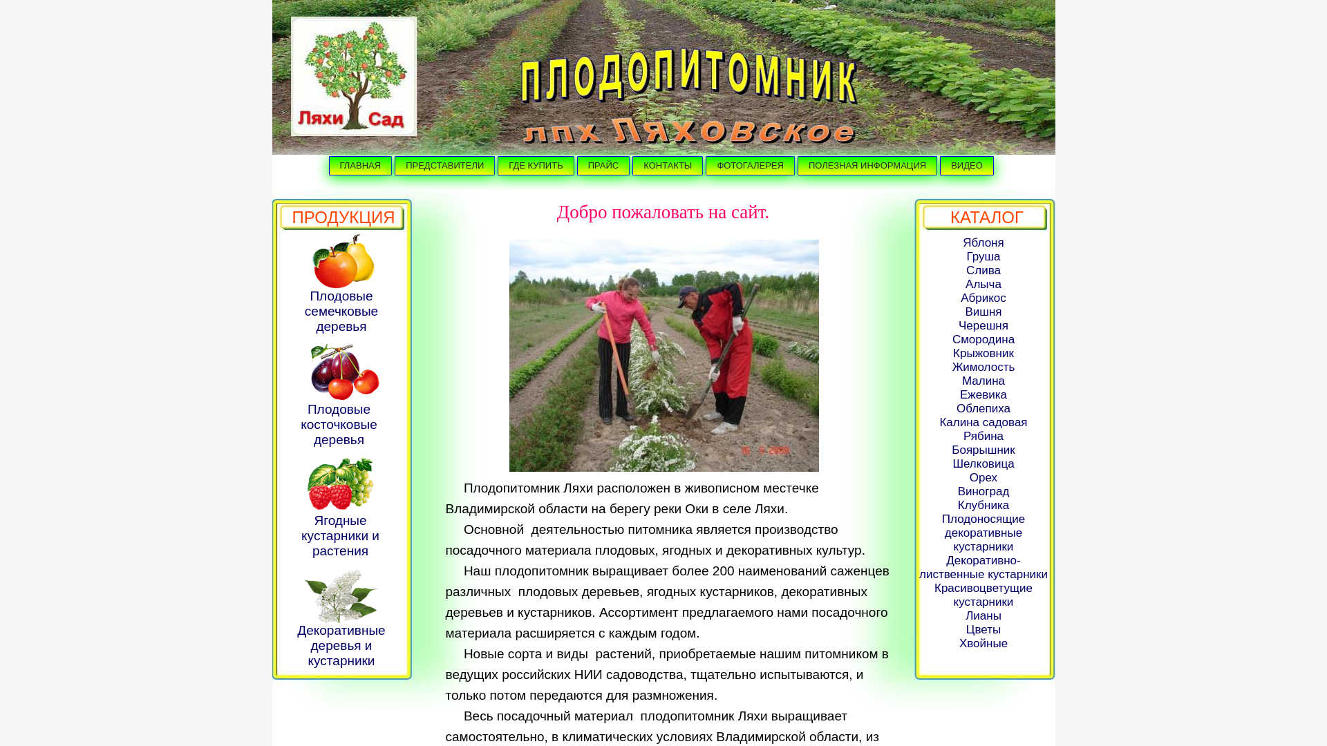 website screenshot of https://plodopitomnik--lyakhi.ru/